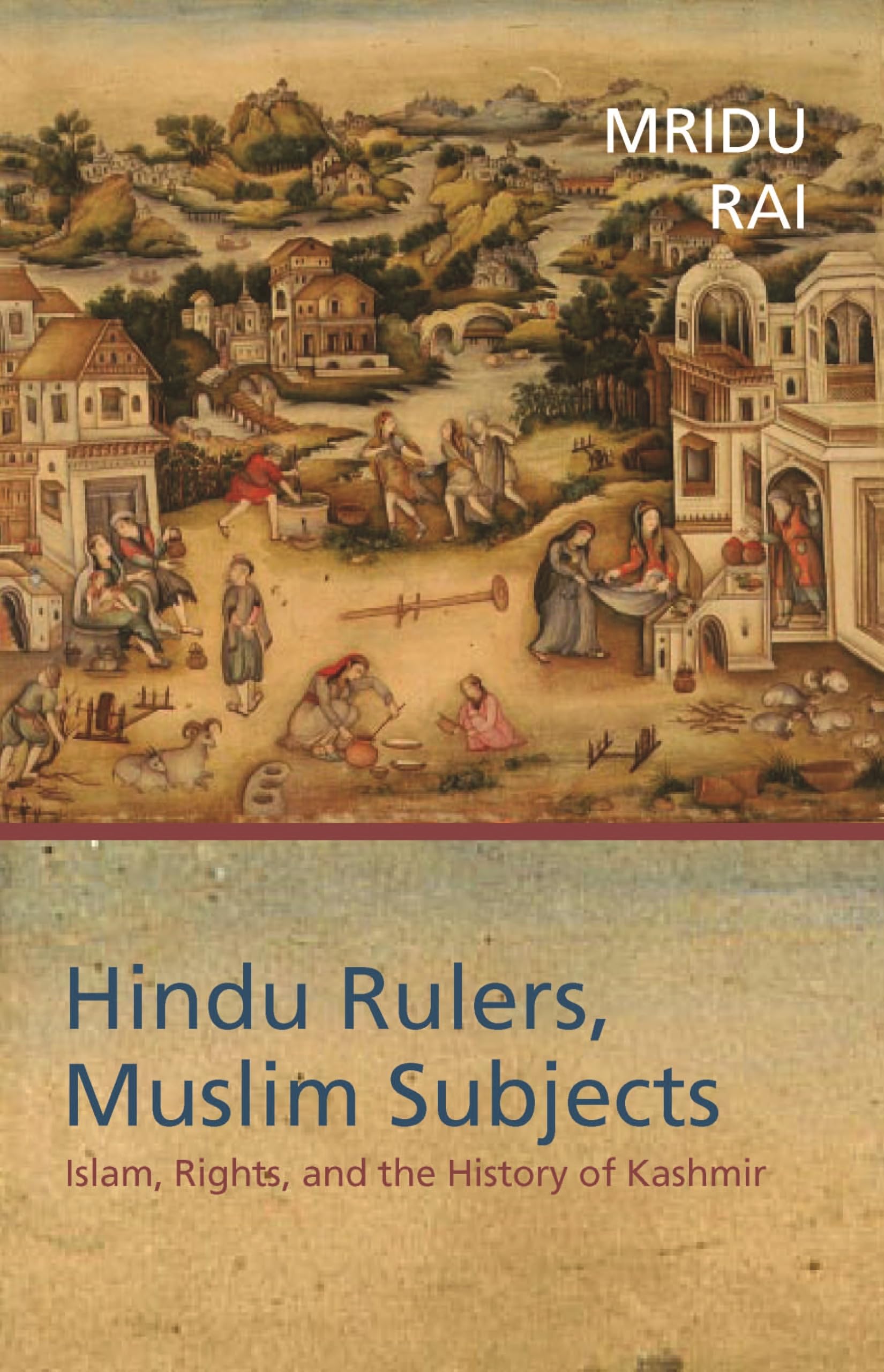 Hindu Rulers, Muslim Subjects: Islam, Rights, and the History of Kashmir,Used