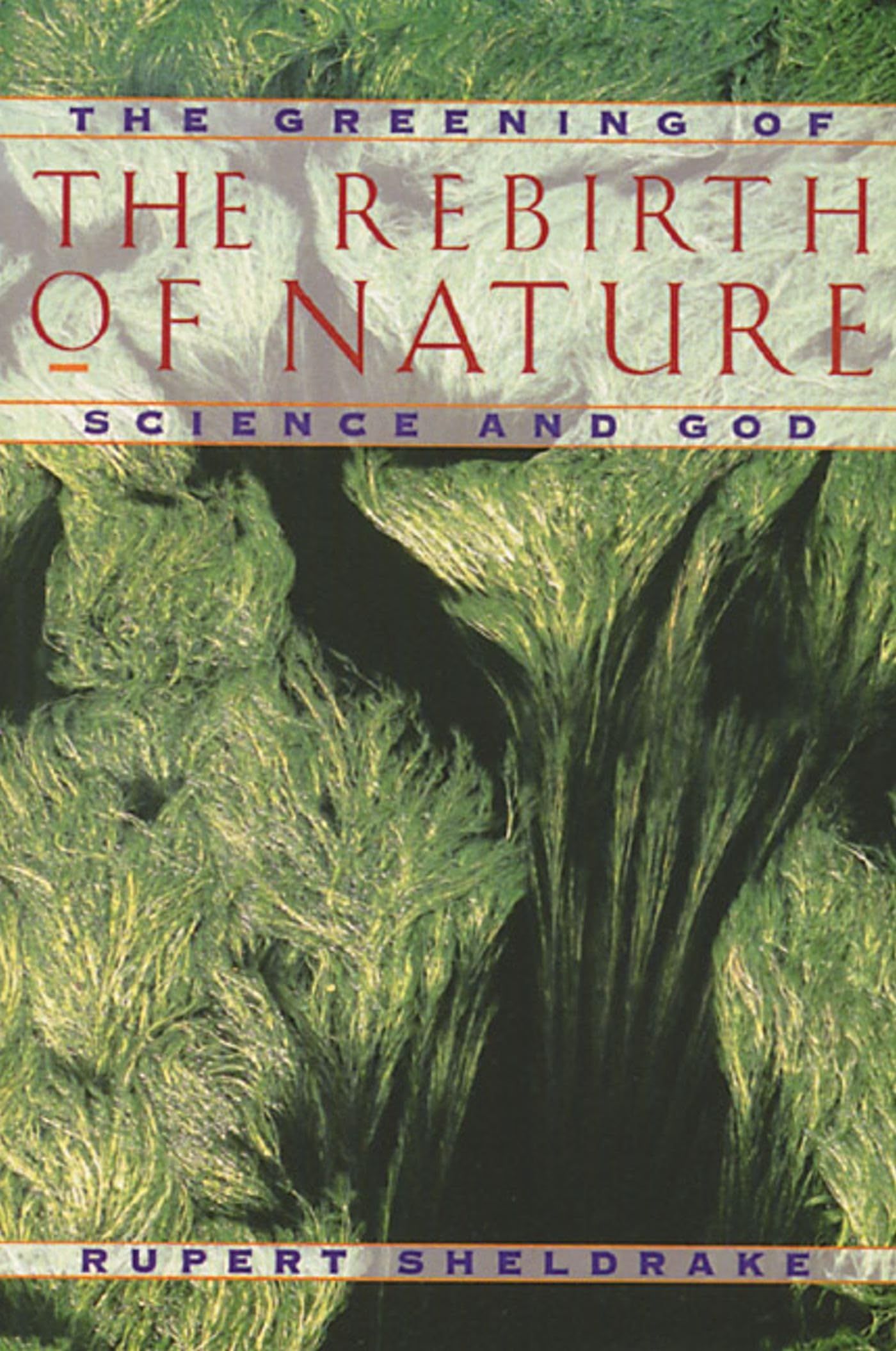 The Rebirth of Nature: The Greening of Science and God,Used