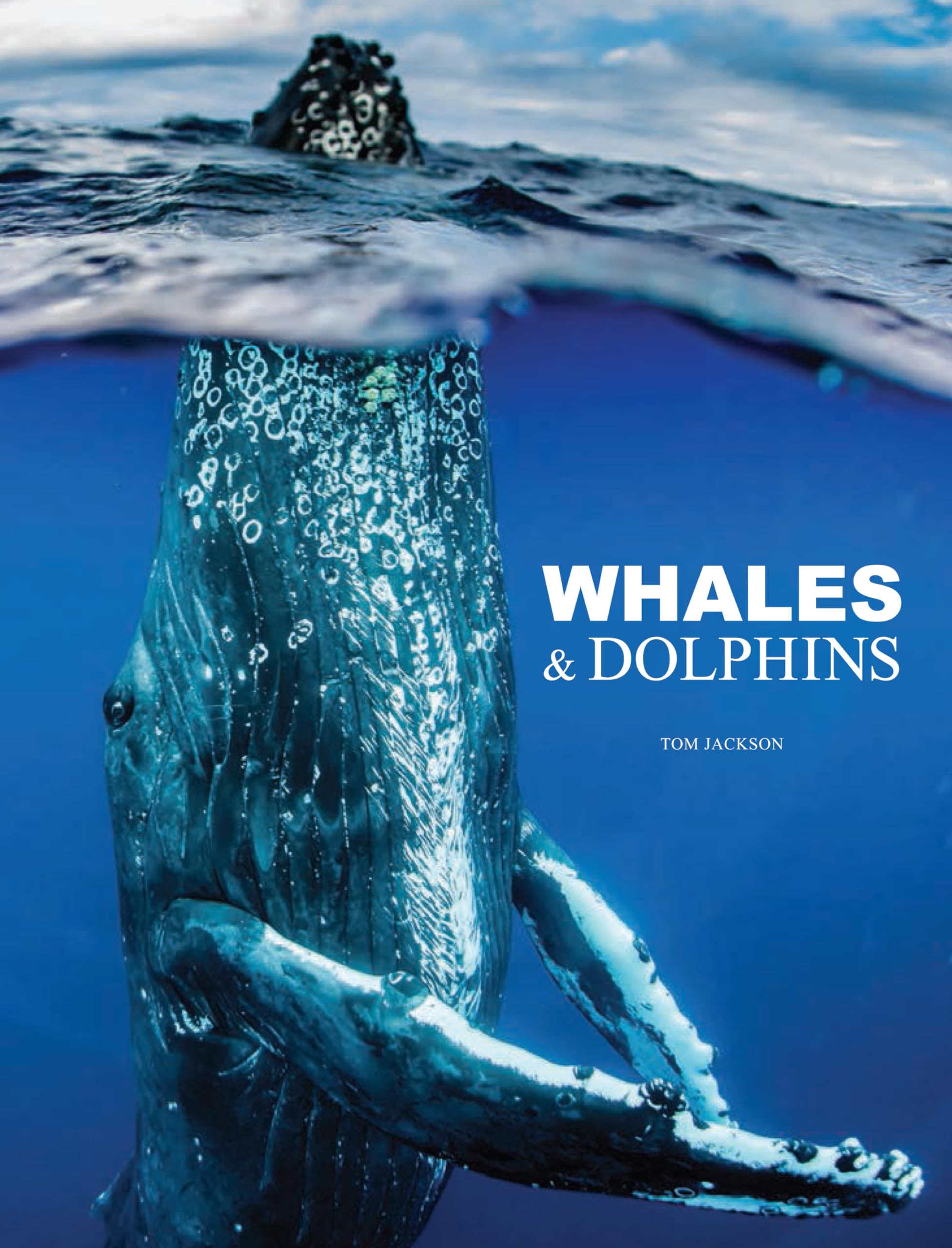 Whales & Dolphins,New