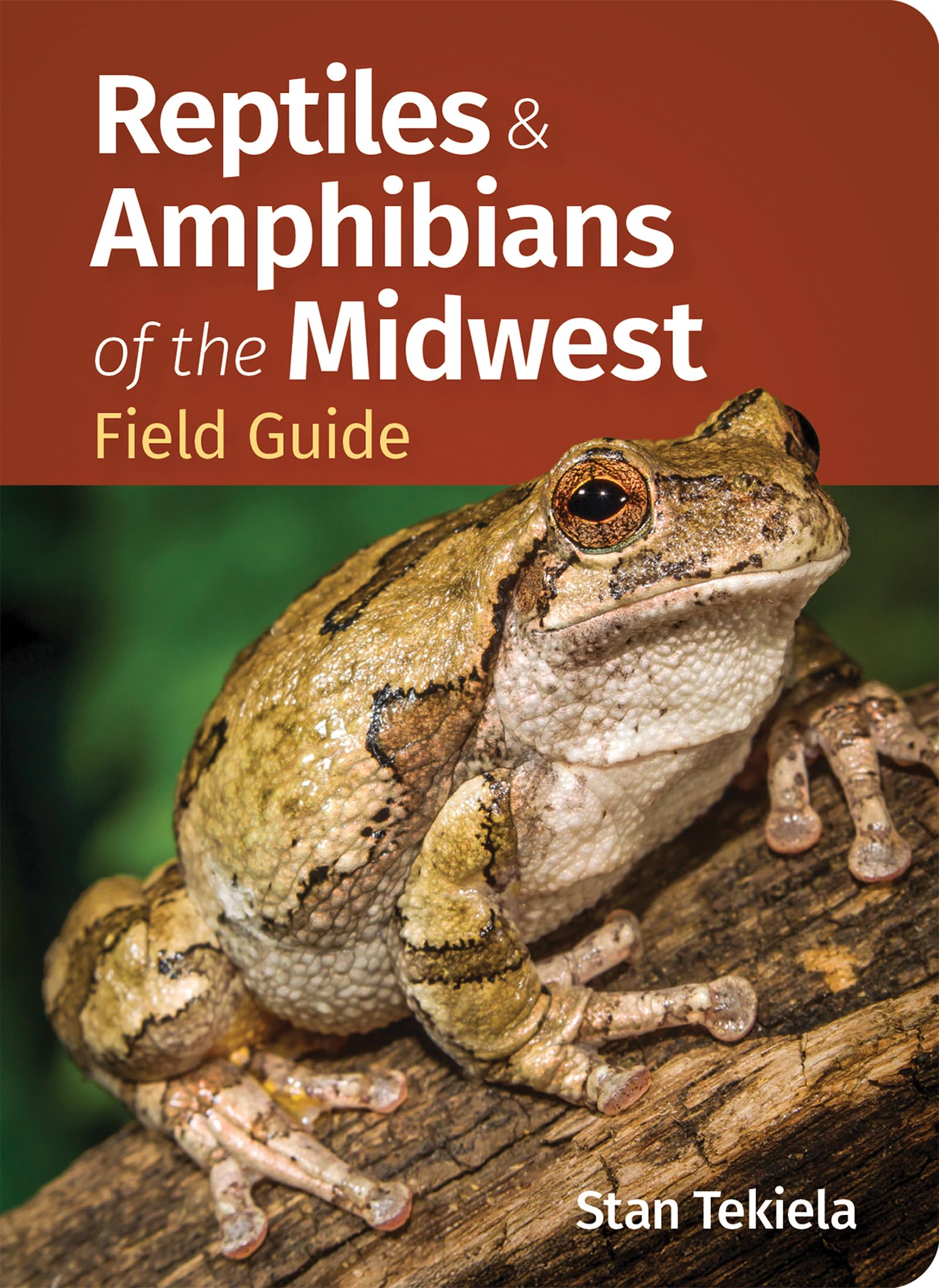 Reptiles & Amphibians Of The Midwest Field Guide
