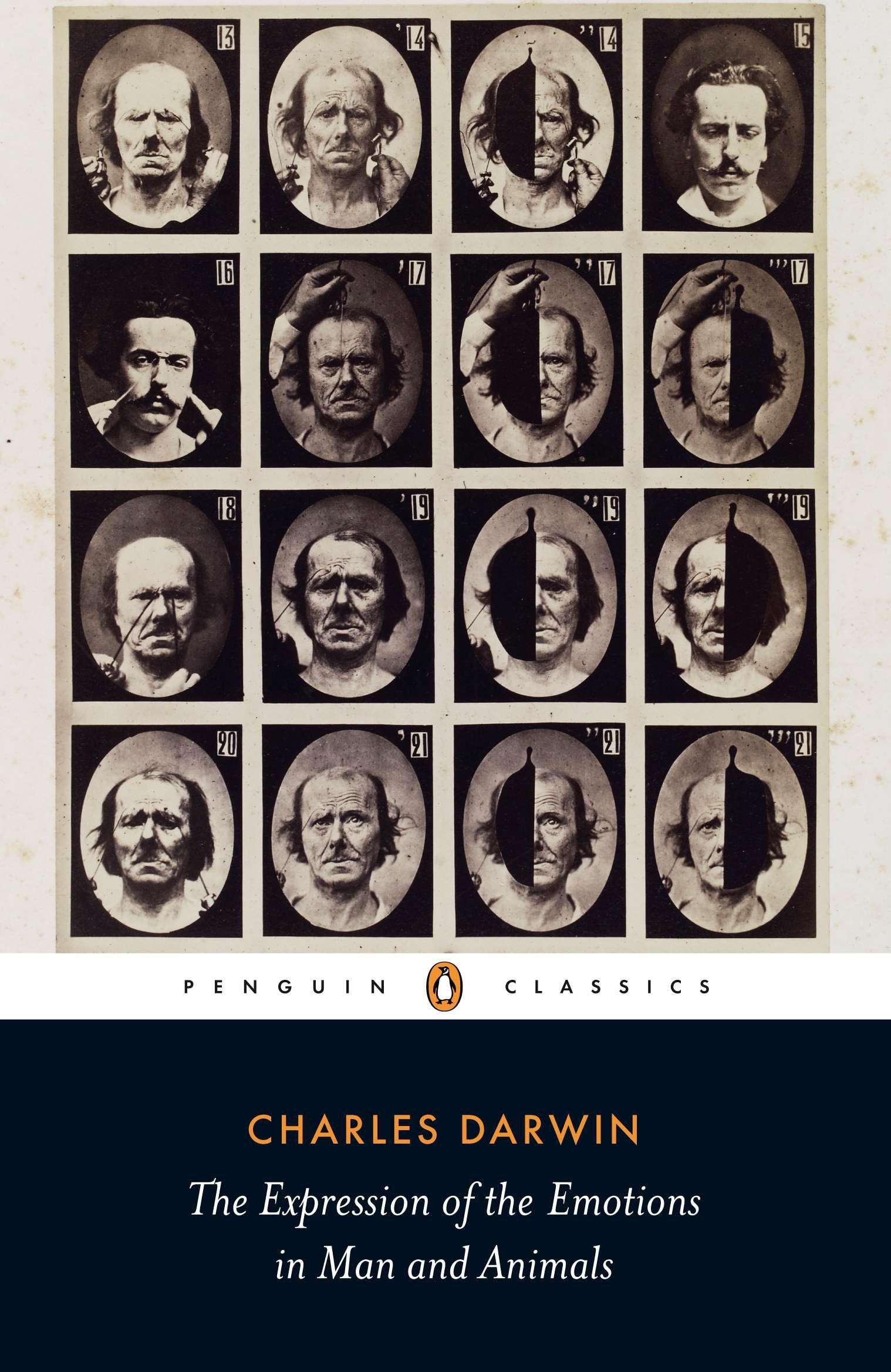 The Expression of the Emotions in Man and Animals (Penguin Classics),Used