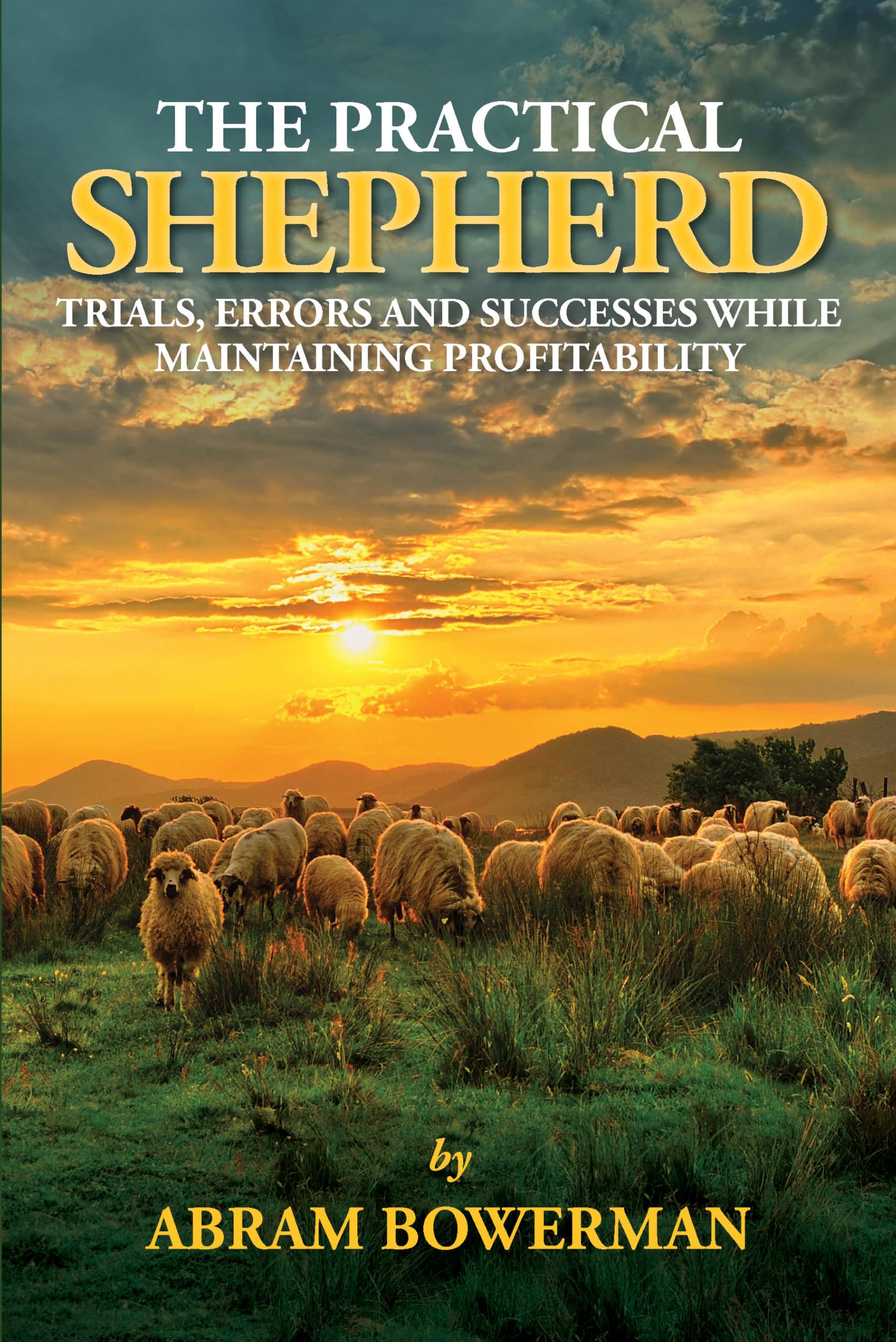 The Practical Shepherd: Trials, Errors, And Successes While Maintaining Profitability