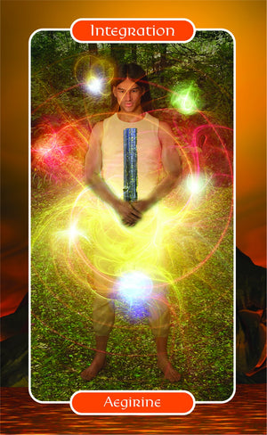 The Crystal Ally Cards: Evolution Edition Cards & Book Boxed Set,New
