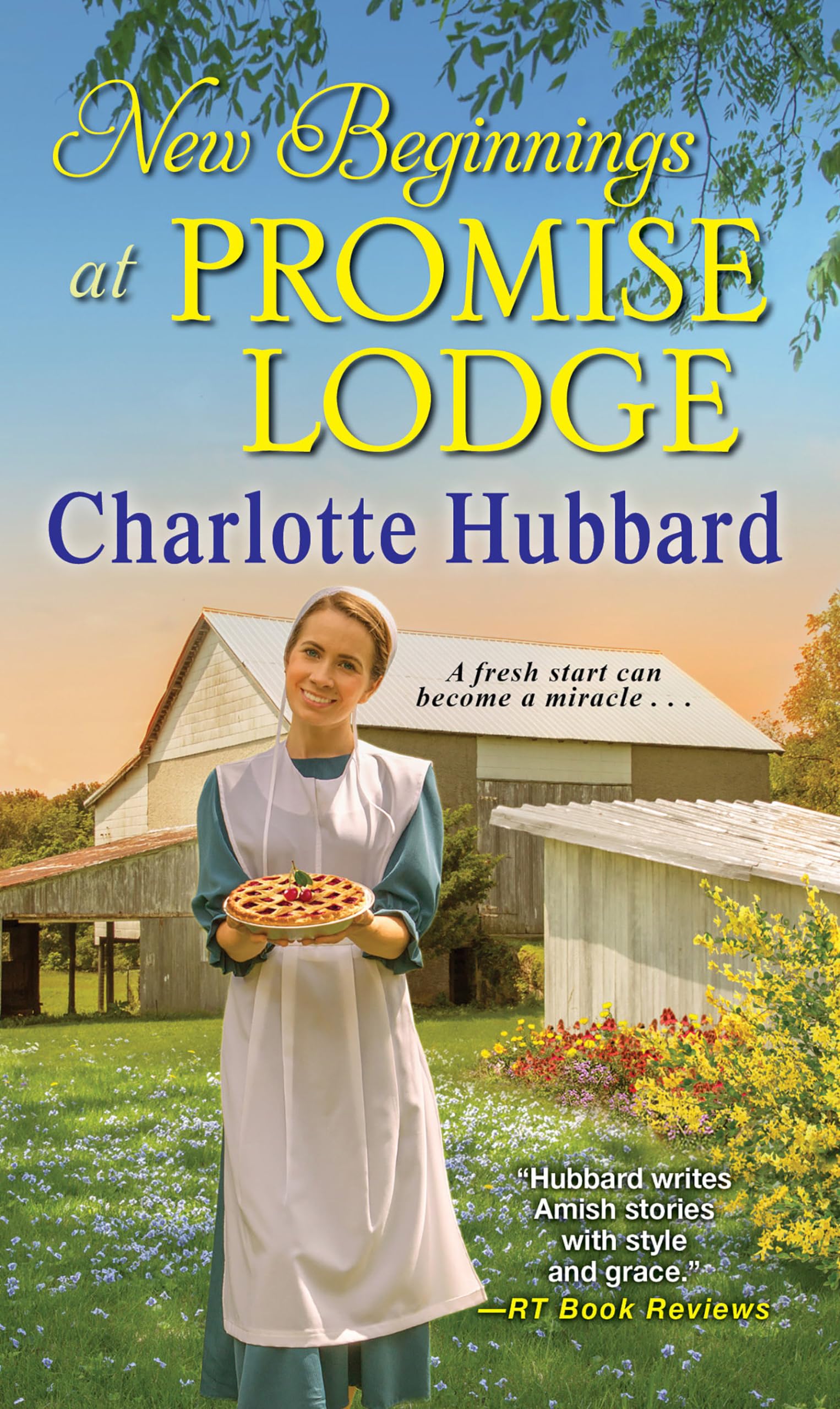 New Beginnings at Promise Lodge,Used