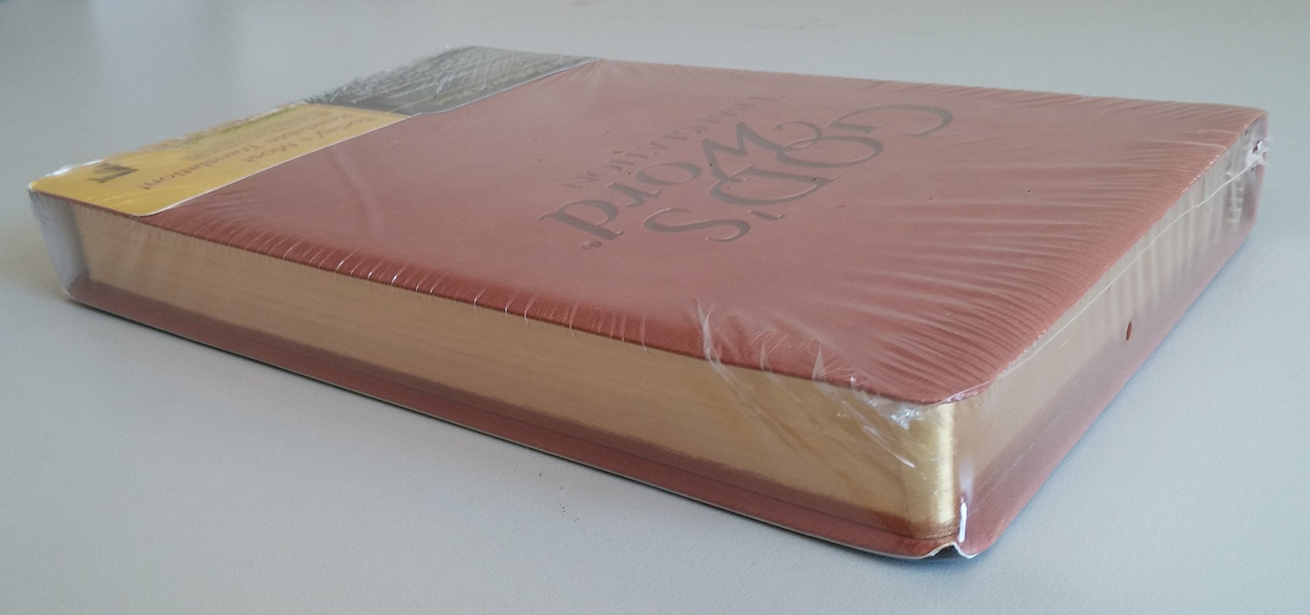 God'S Word Handisize Text Saddle Duravella