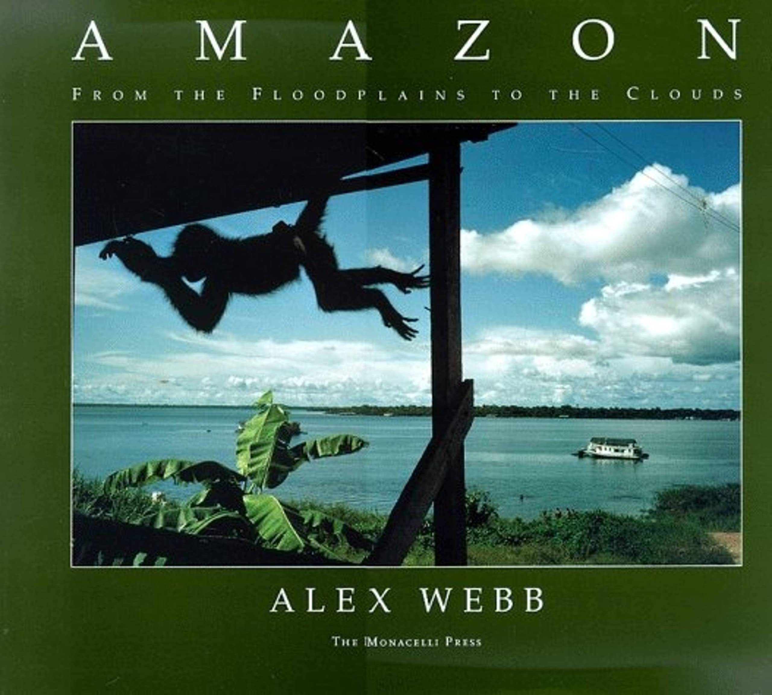 Amazon: From The Floodplains To The Clouds