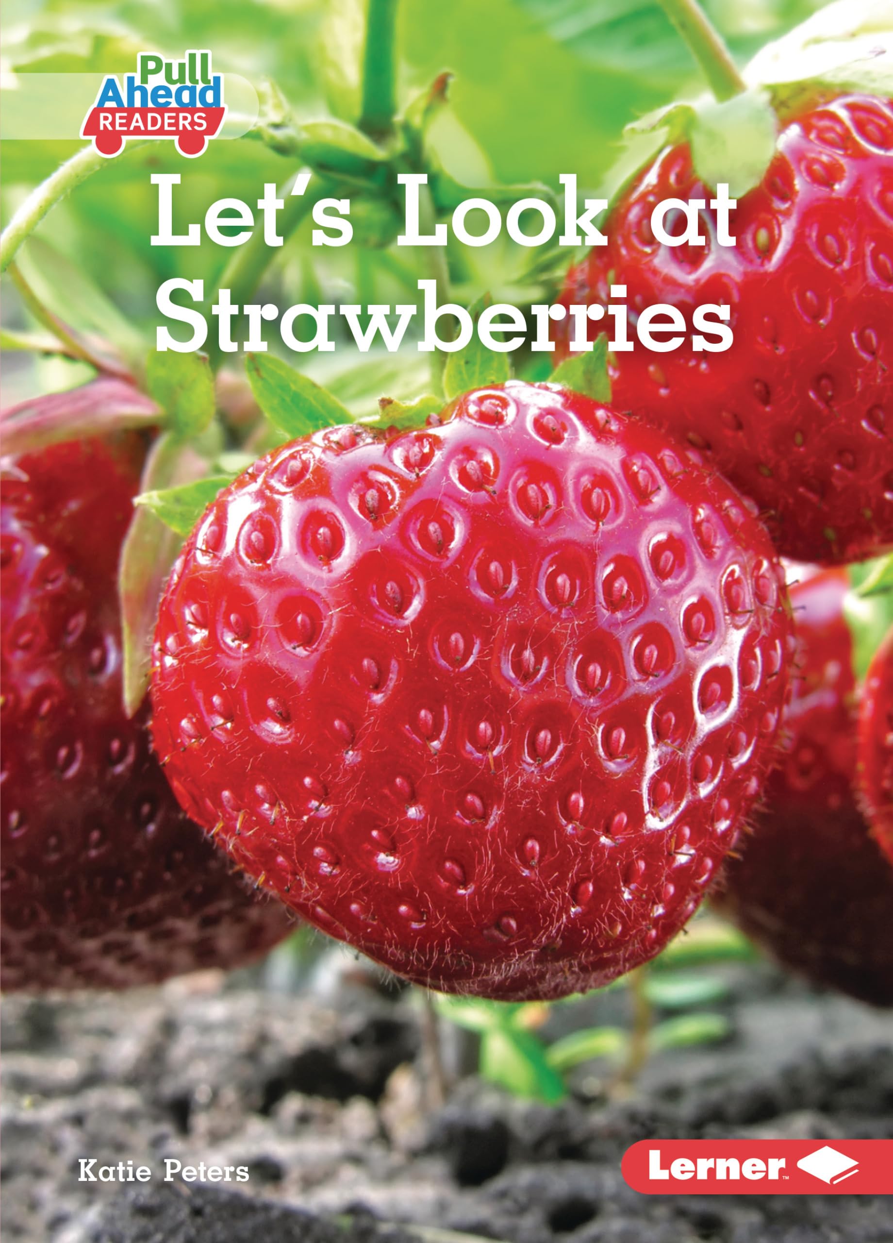 Let's Look at Strawberries (Plant Life Cycles (Pull Ahead Readers  Nonfiction)),Used