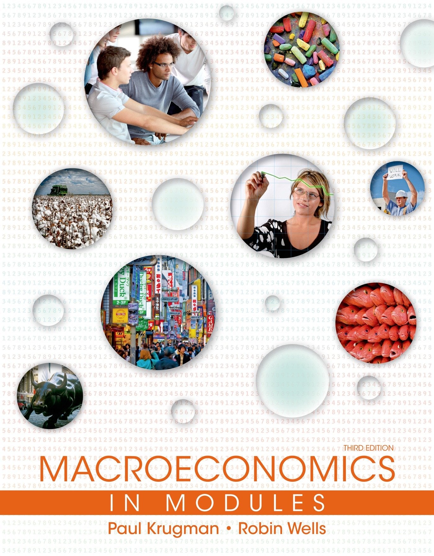 Macroeconomics In Modules,Used