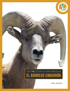 El Borrego Cimarrn (Spanish Edition)