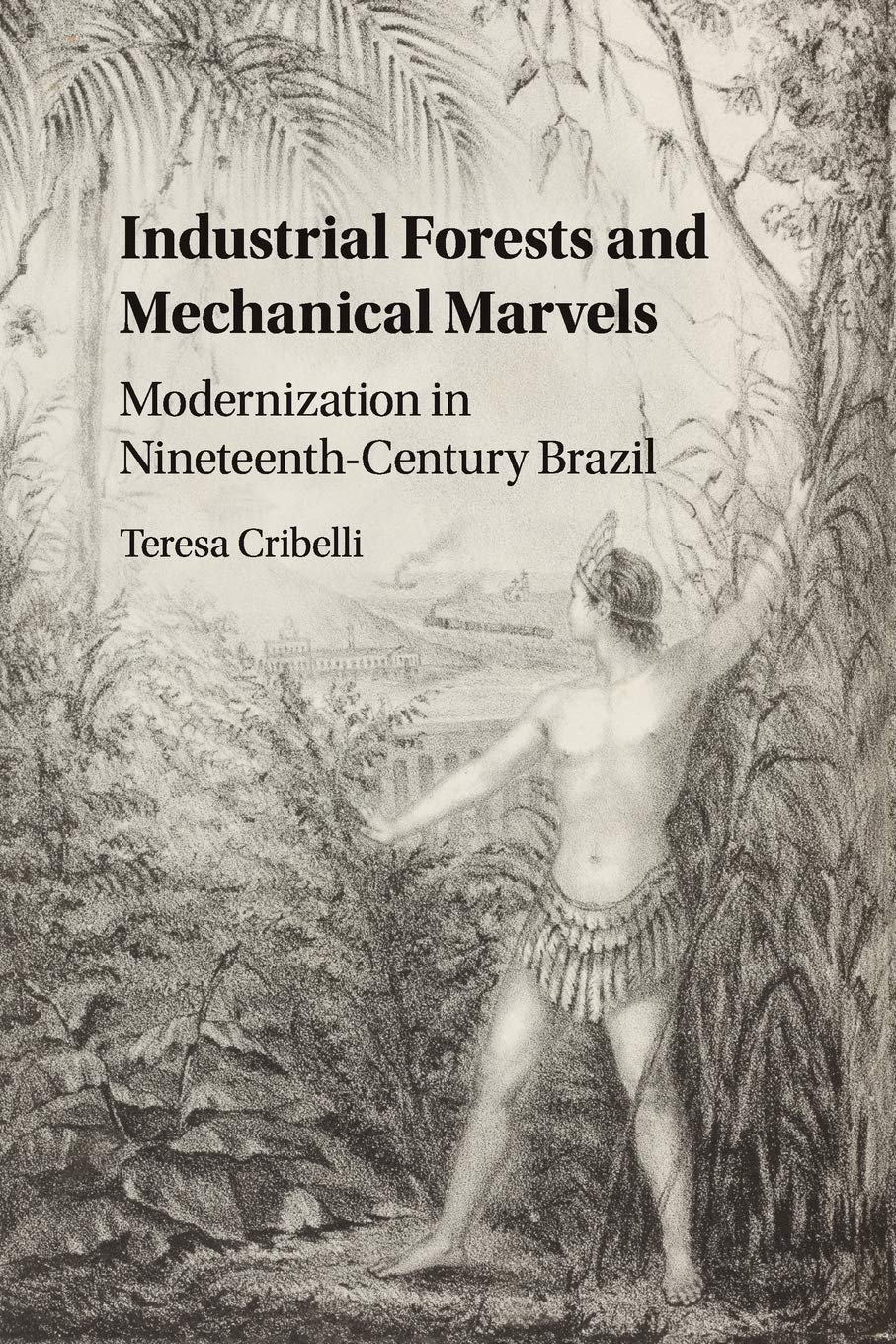 Industrial Forests and Mechanical Marvels: Modernization in NineteenthCentury Brazil,Used