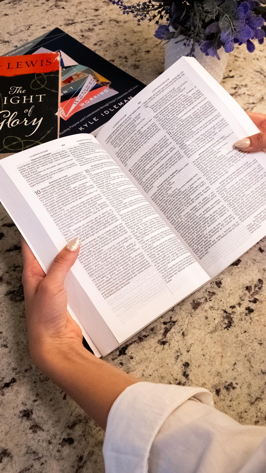 NKJV/RVR, Bilingual Bible, Softcover / NKJV/RVR Biblia Bilinge, Tapa Rstica (Spanish Edition),Used