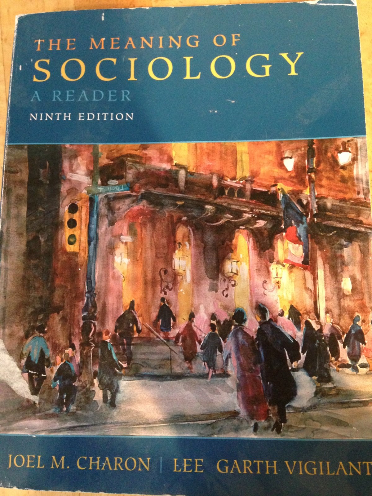 Meaning of Sociology, The: A Reader,Used