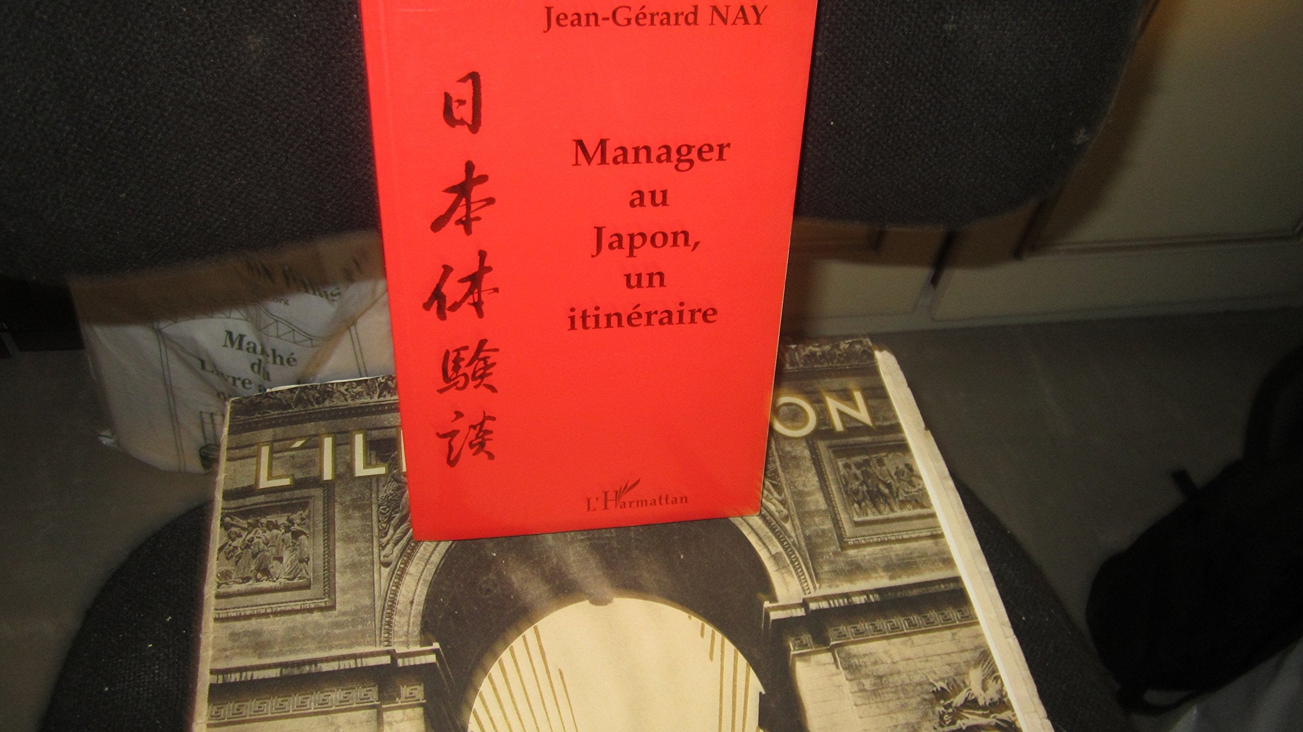 Manager au Japon, un itinraire,Used
