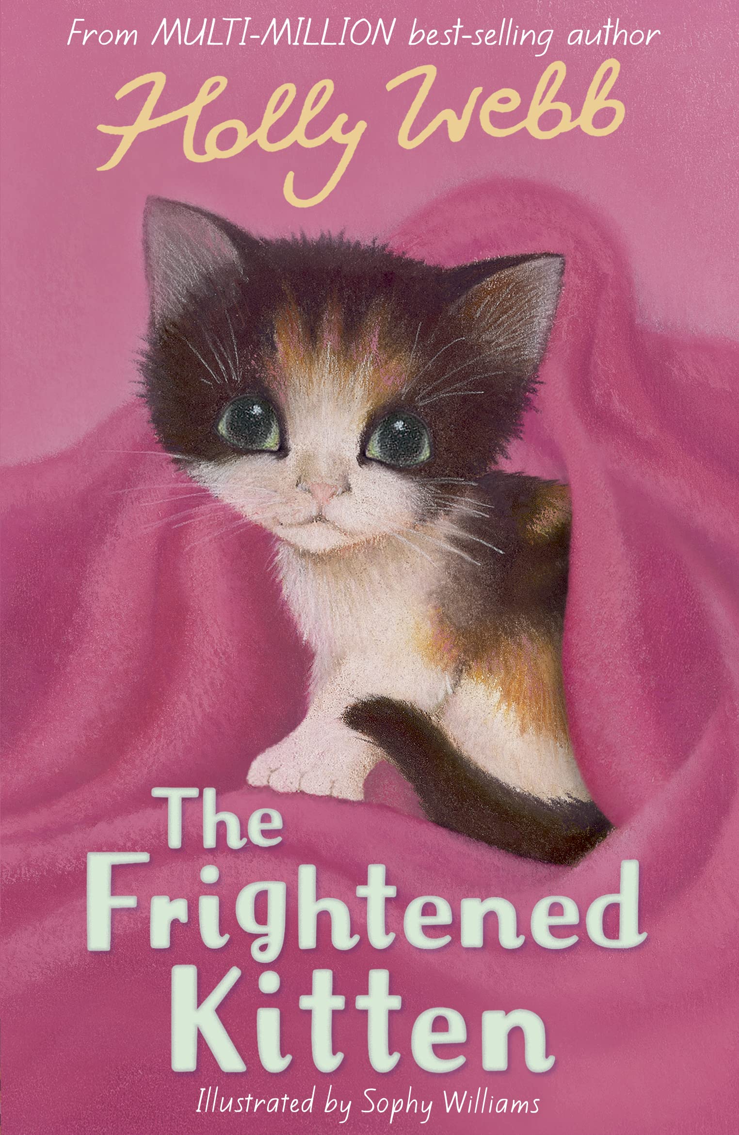 Frightened Kitten,Used