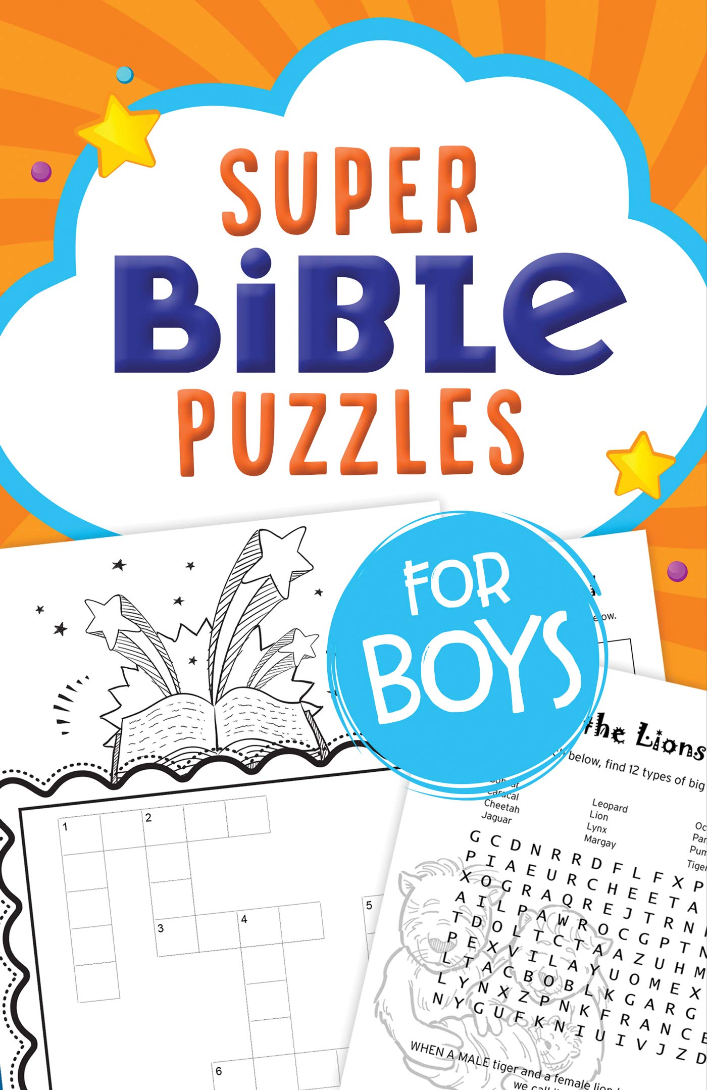 Super Bible Puzzles for Boys,Used