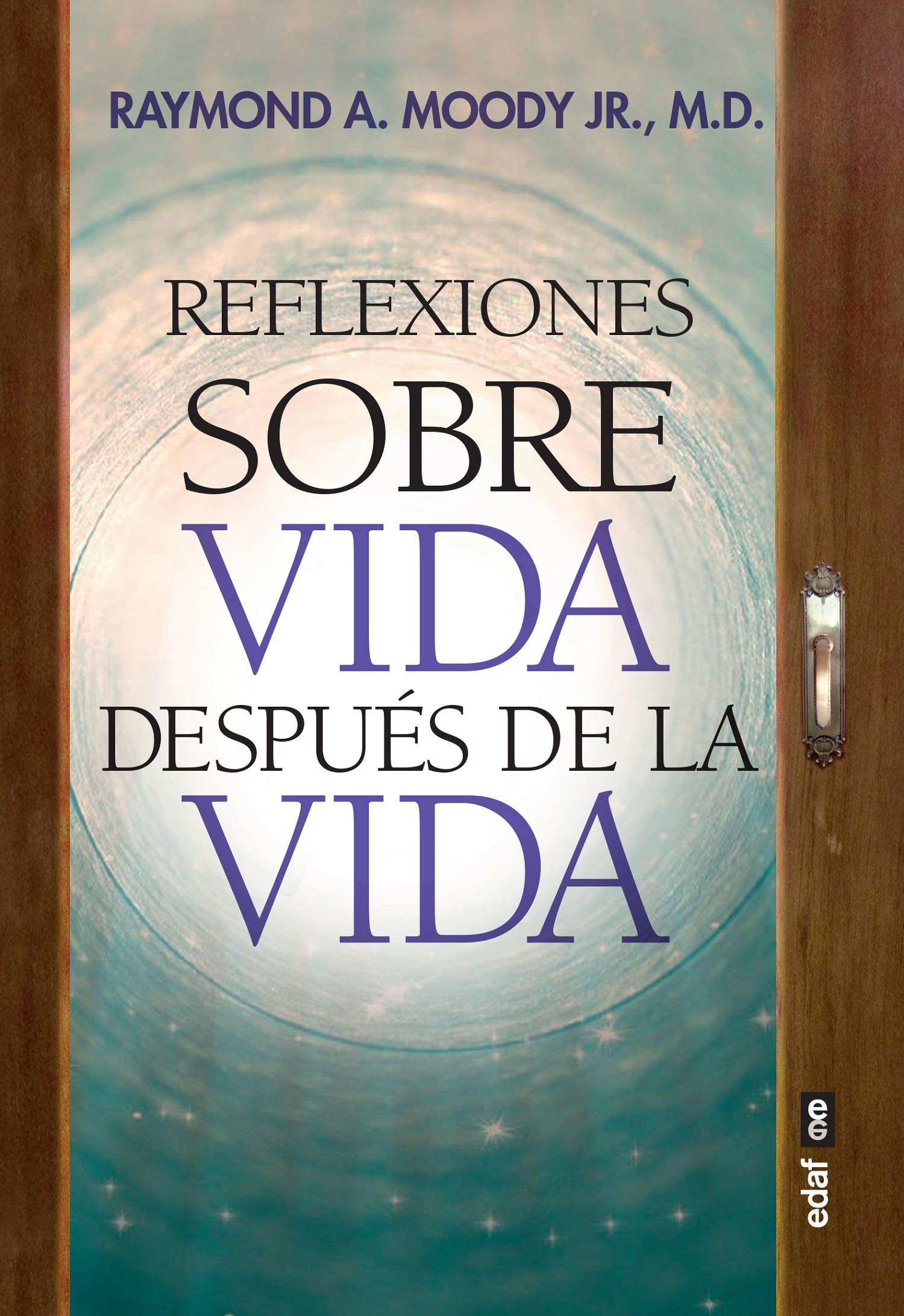 Reflexiones sobre Vida despus de la vida (Spanish Edition),Used