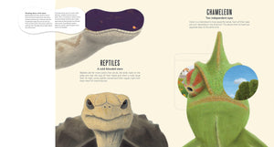 Eye Spy: Wild Ways Animals See the World,Used