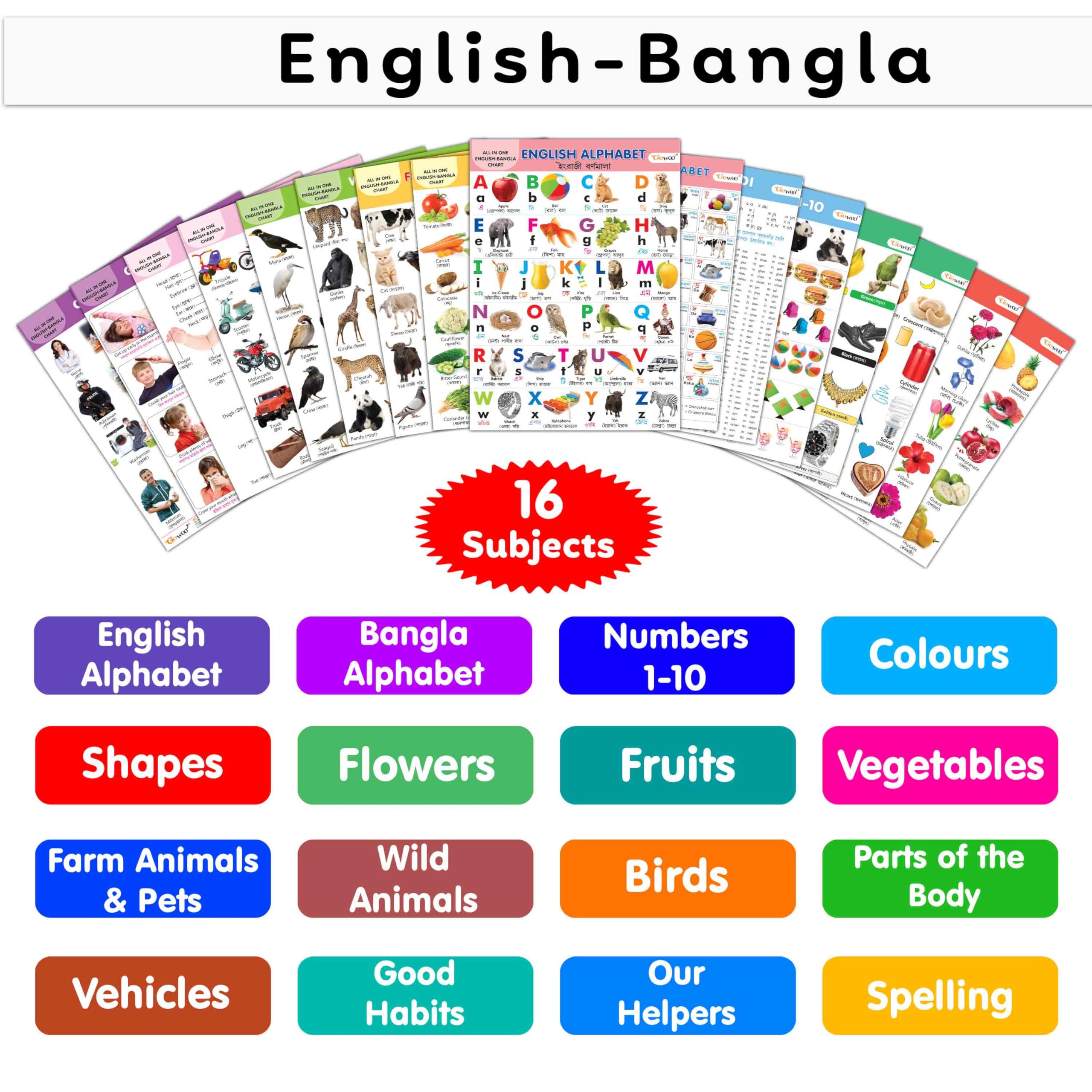 English-Bangla Chart For Kids (16 Charts ) 36 X 50 Cm - Children Spiral Wall Picture Chart