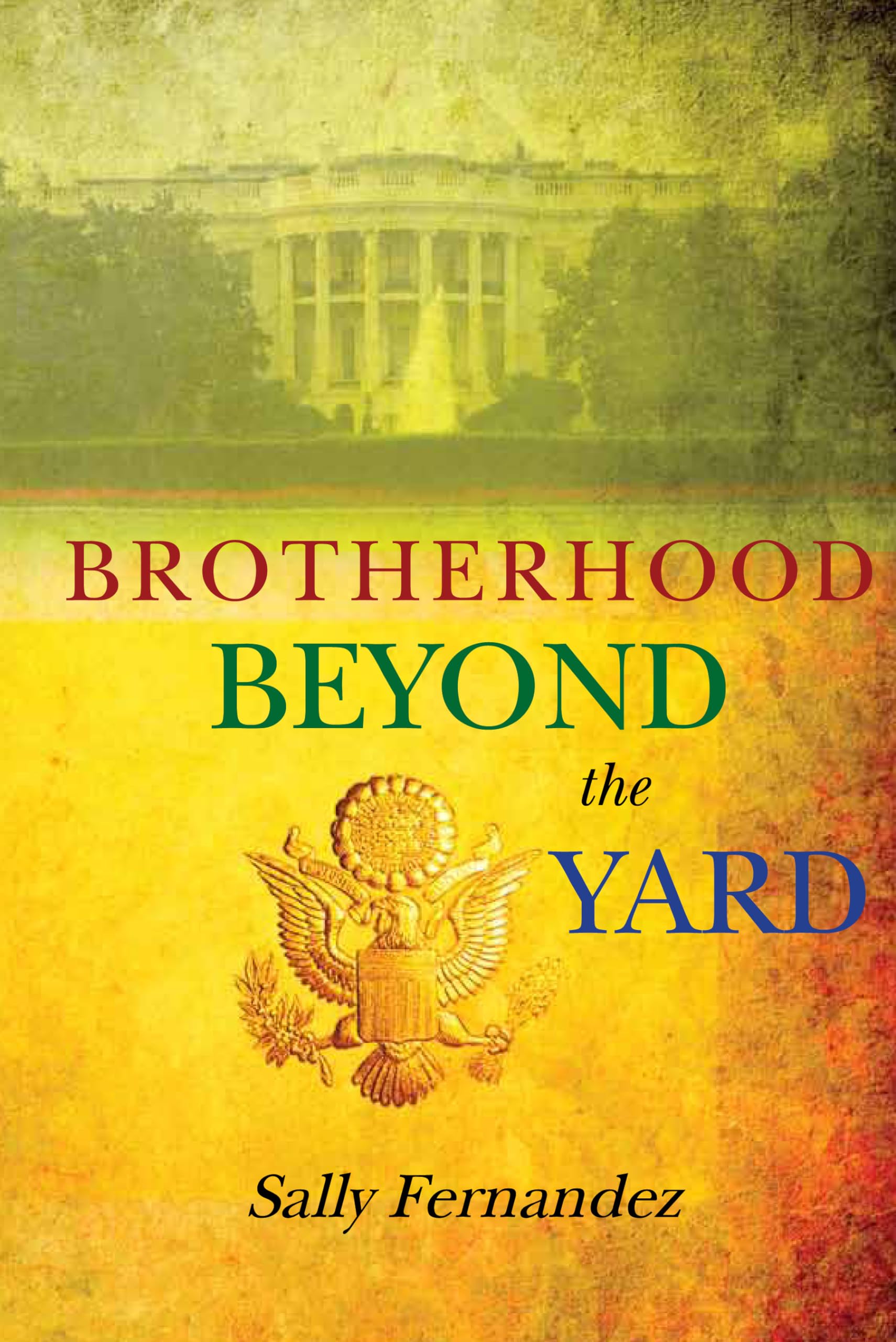 Brotherhood Beyond the Yard (A Simon Hall Political Thriller),Used