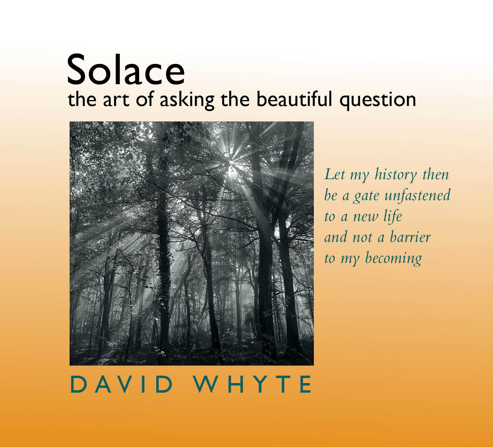 Solace: The Art of Asking the Beautiful Question,Used