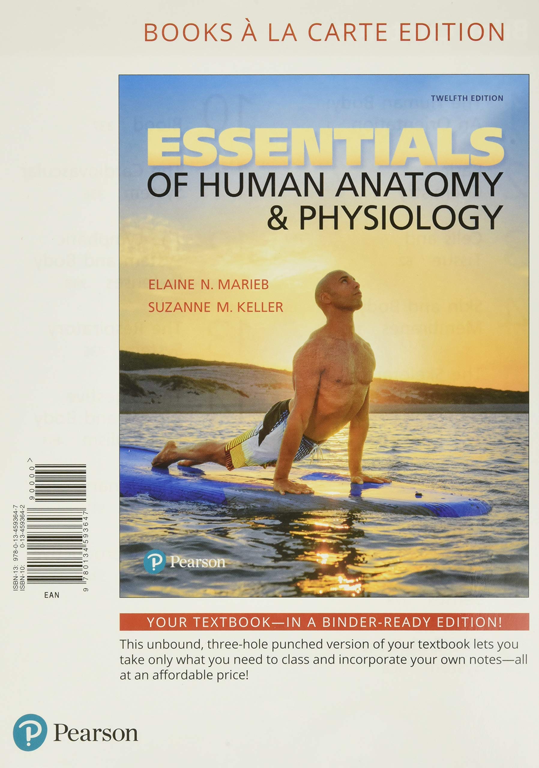 Essentials of Human Anatomy & Physiology,New