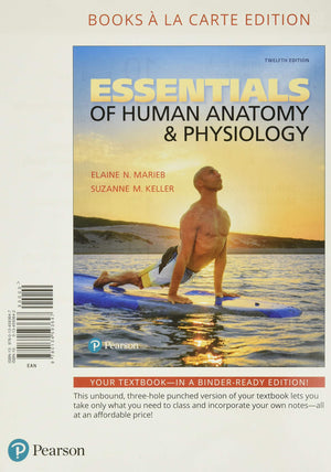 Essentials of Human Anatomy & Physiology,New