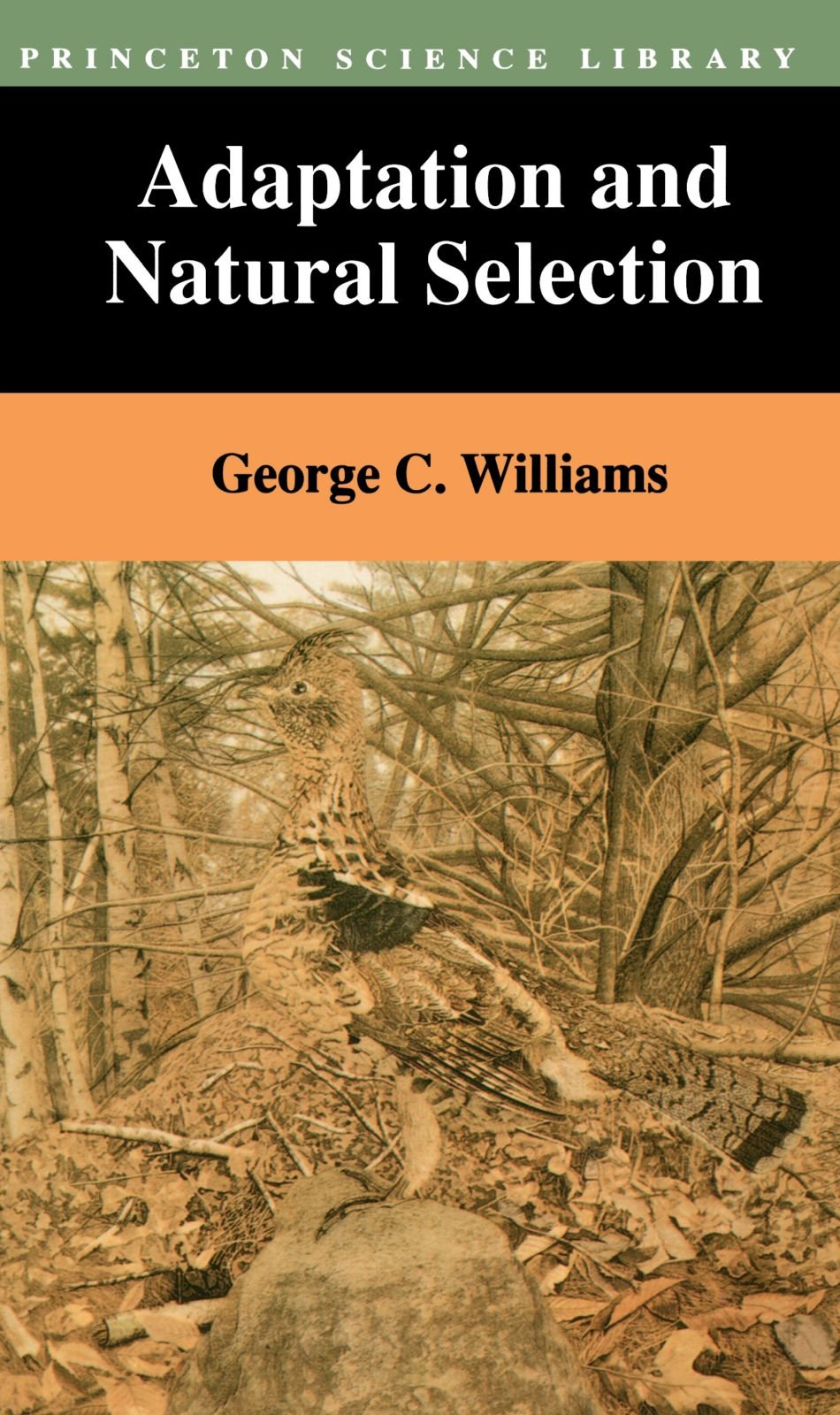 Adaptation And Natural Selection