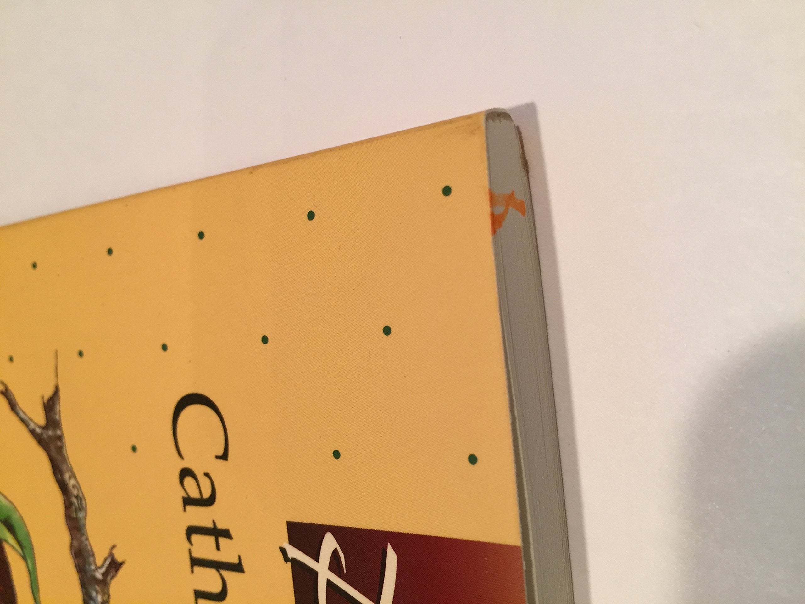 Praying With Catherine of Siena (Companions for the Journey Series),Used