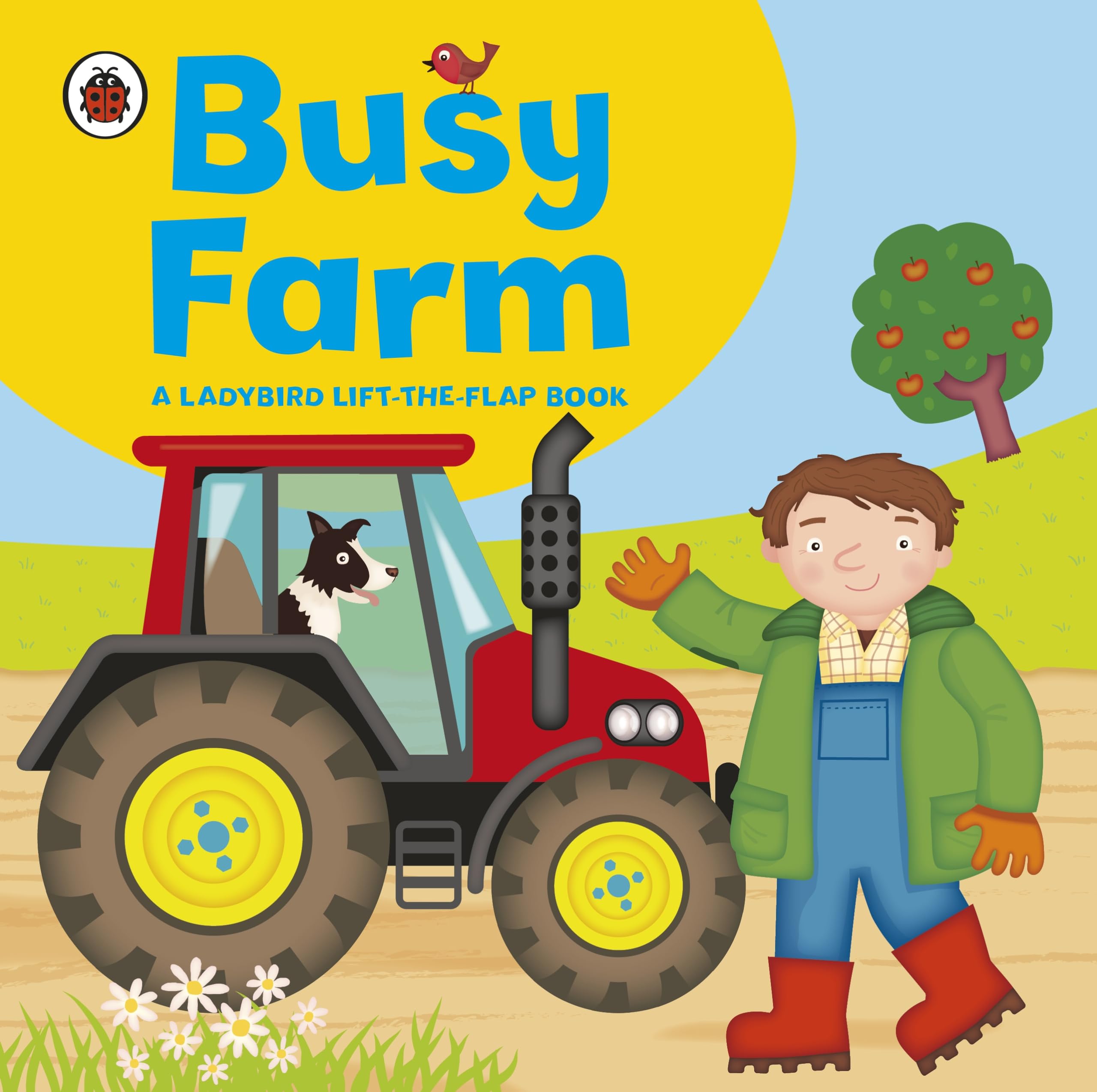 Ladybird lifttheflap book: Busy Farm,Used