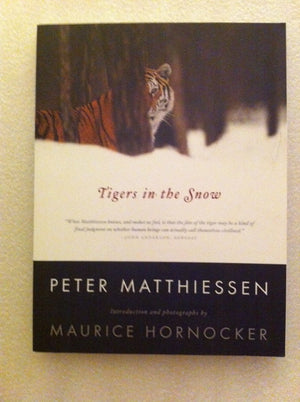 Tigers In The Snow