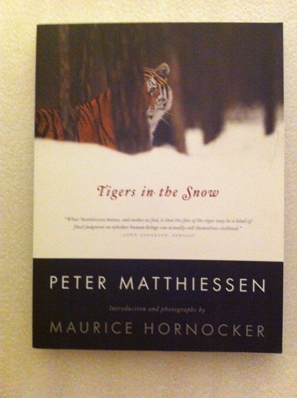Tigers In The Snow