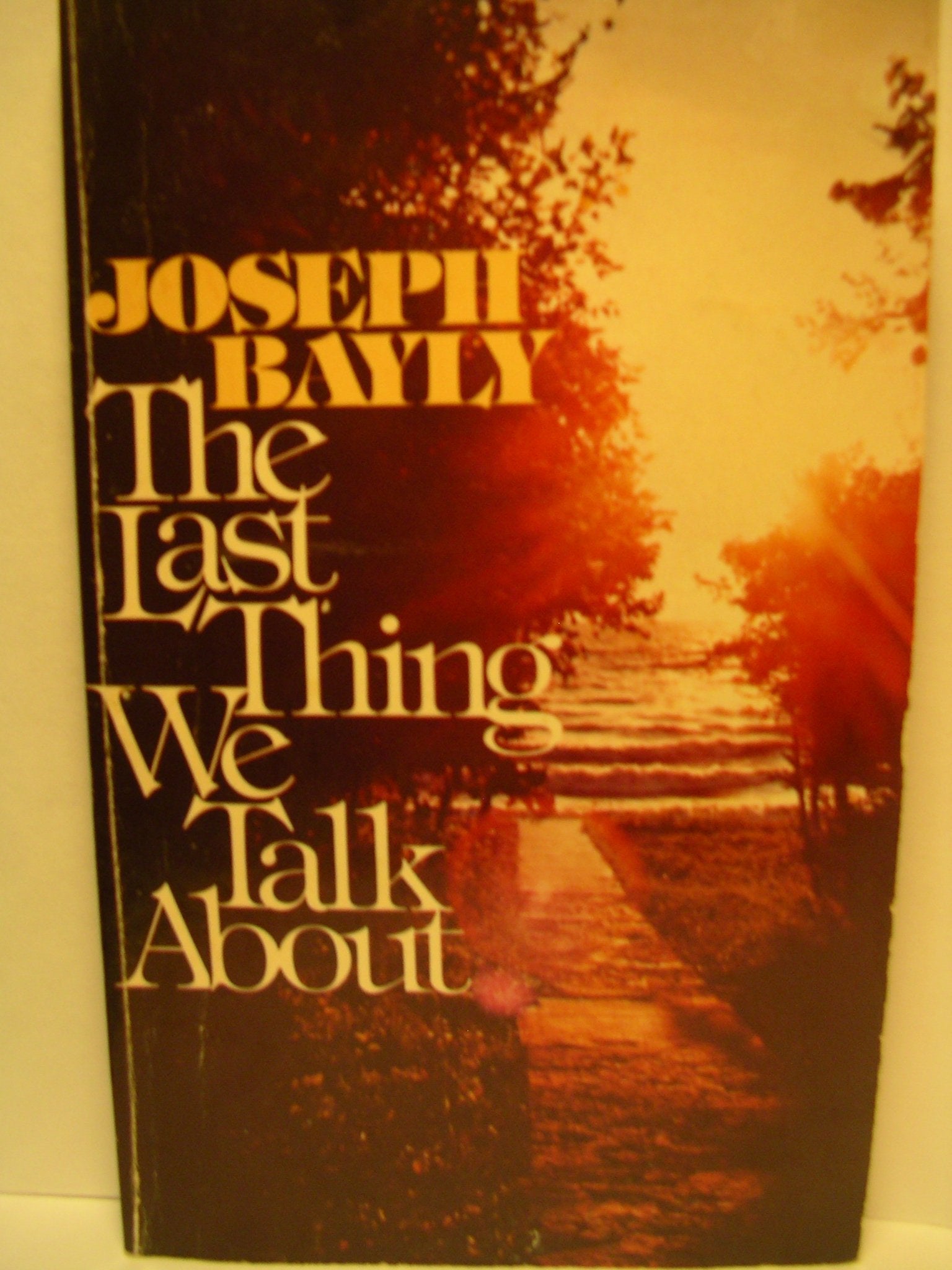 The Last Thing We Talk About,Used