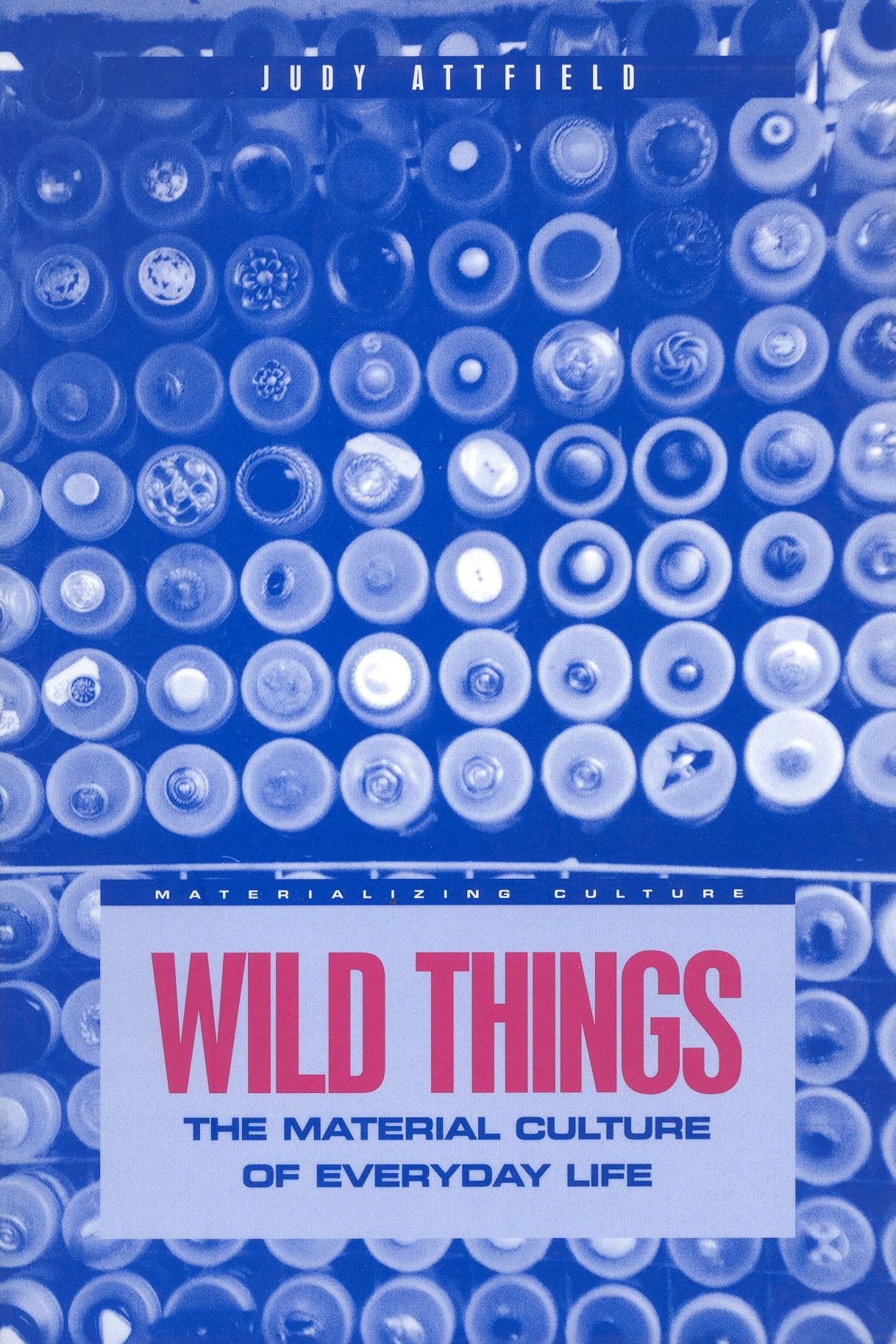 Wild Things: The Material Culture of Everyday Life (Materializing Culture),Used