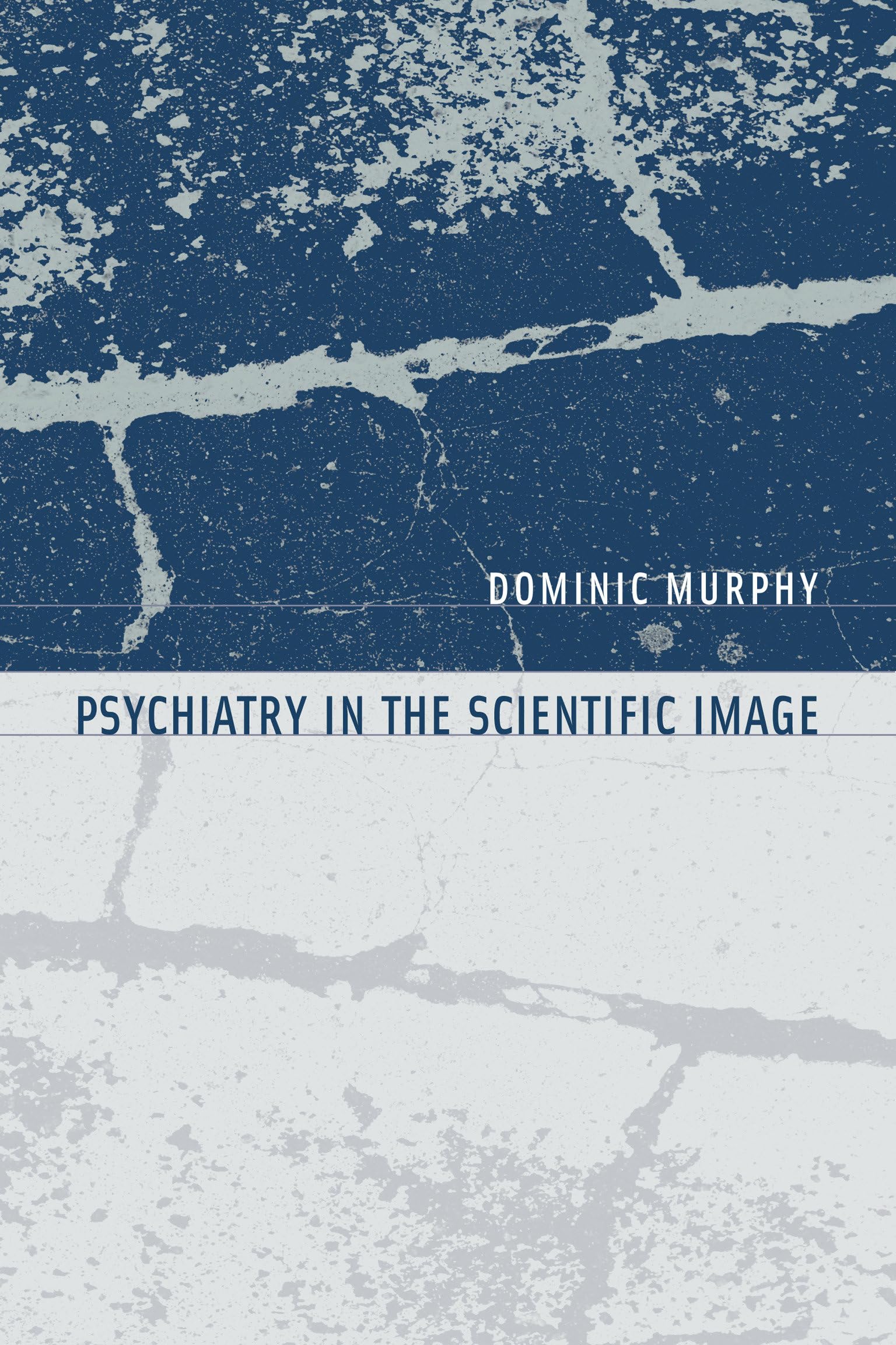 Psychiatry in the Scientific Image (Philosophical Psychopathology),Used