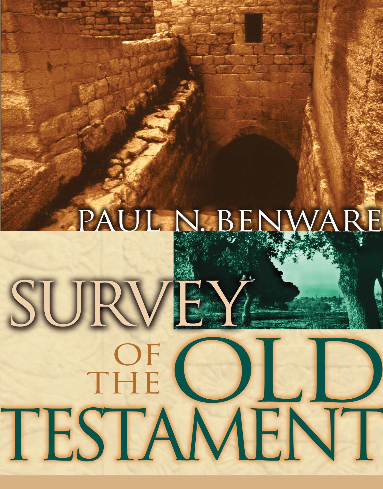 Survey of the Old Testament,Used