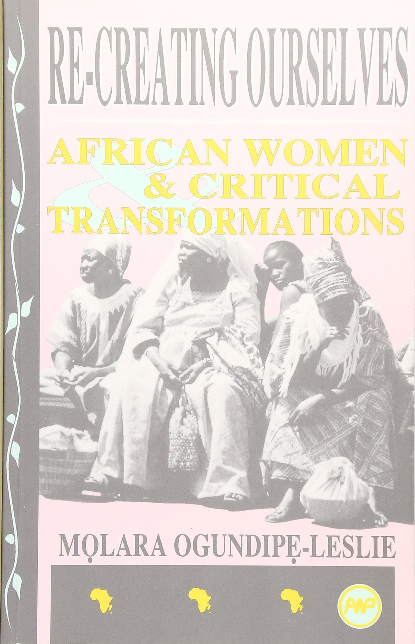 ReCreating Ourselves: African Women & Critical Transformations,New