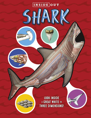 Inside Out Shark: Look Inside A Great White In Three Dimensions!