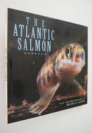 The Atlantic Salmon: 2,Used