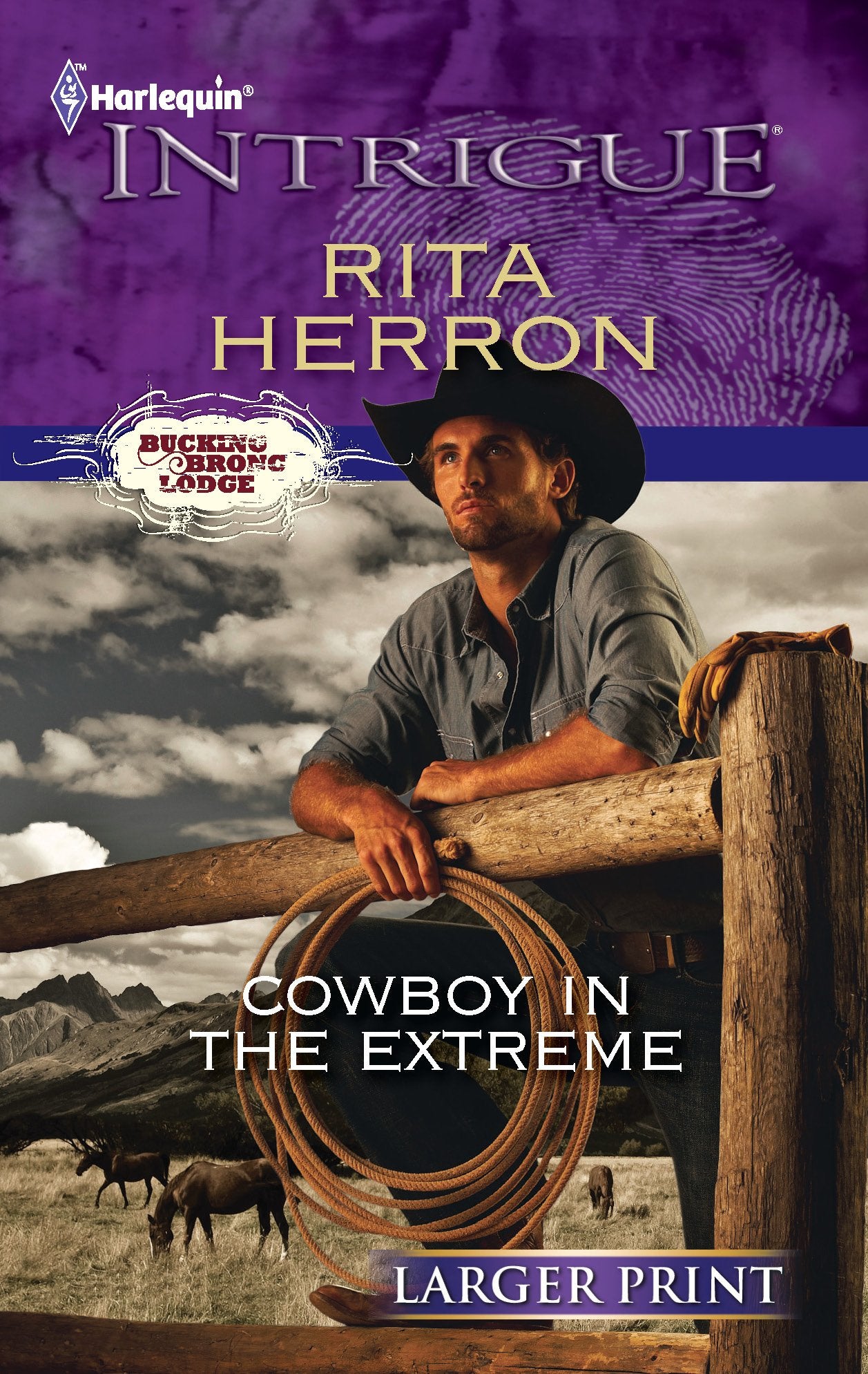 Cowboy in the Extreme,Used