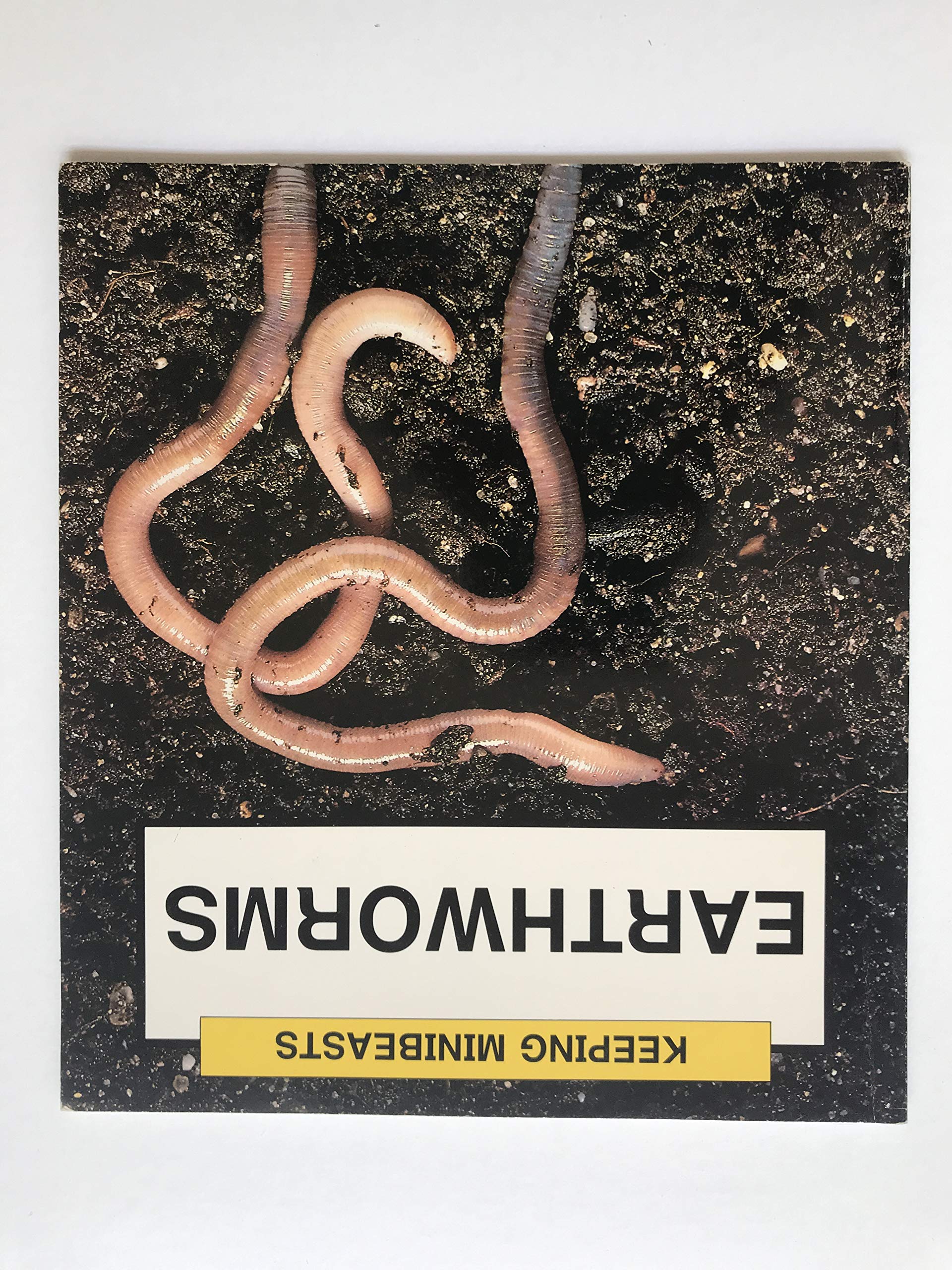 Earthworms (Keeping Minibeasts),Used