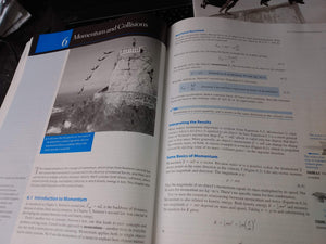 Essential College Physics, Volume 1