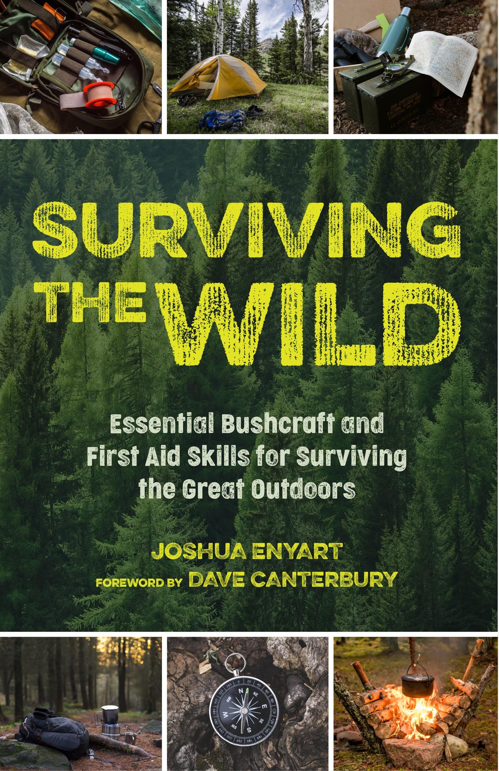 Surviving The Wild: Essential Bushcraft And First Aid Skills For Surviving The Great Outdoors (Wilderness Survival)