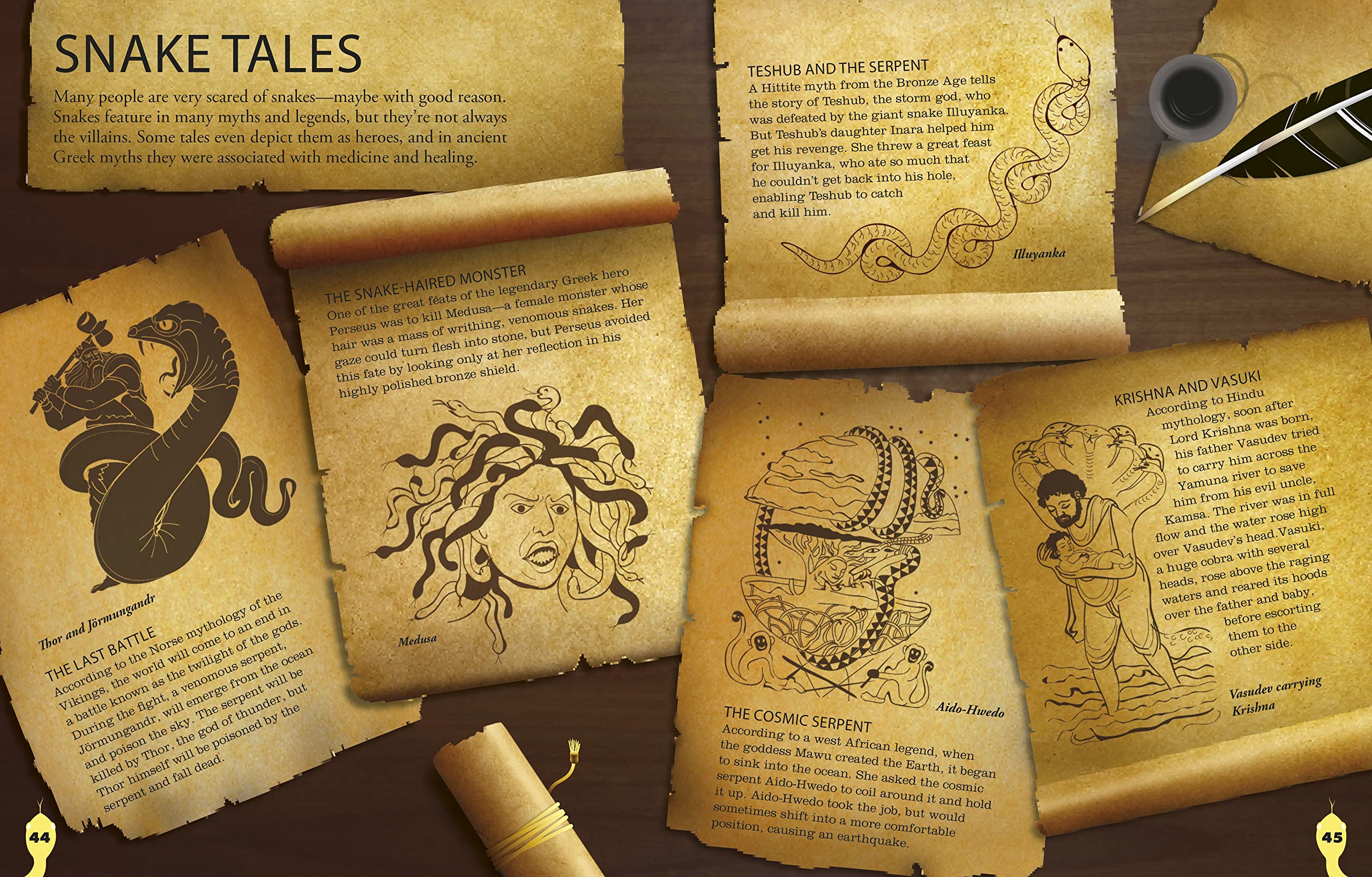 Everything You Need to Know About Snakes,Used