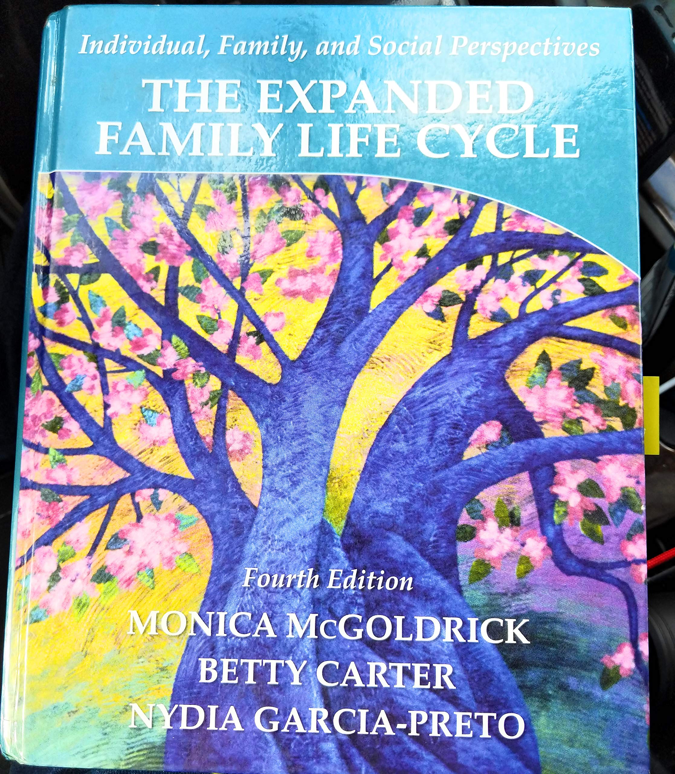 The Expanded Family Life Cycle: Individual, Family, And Social Perspectives,Used