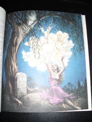 Into the Woods,Used