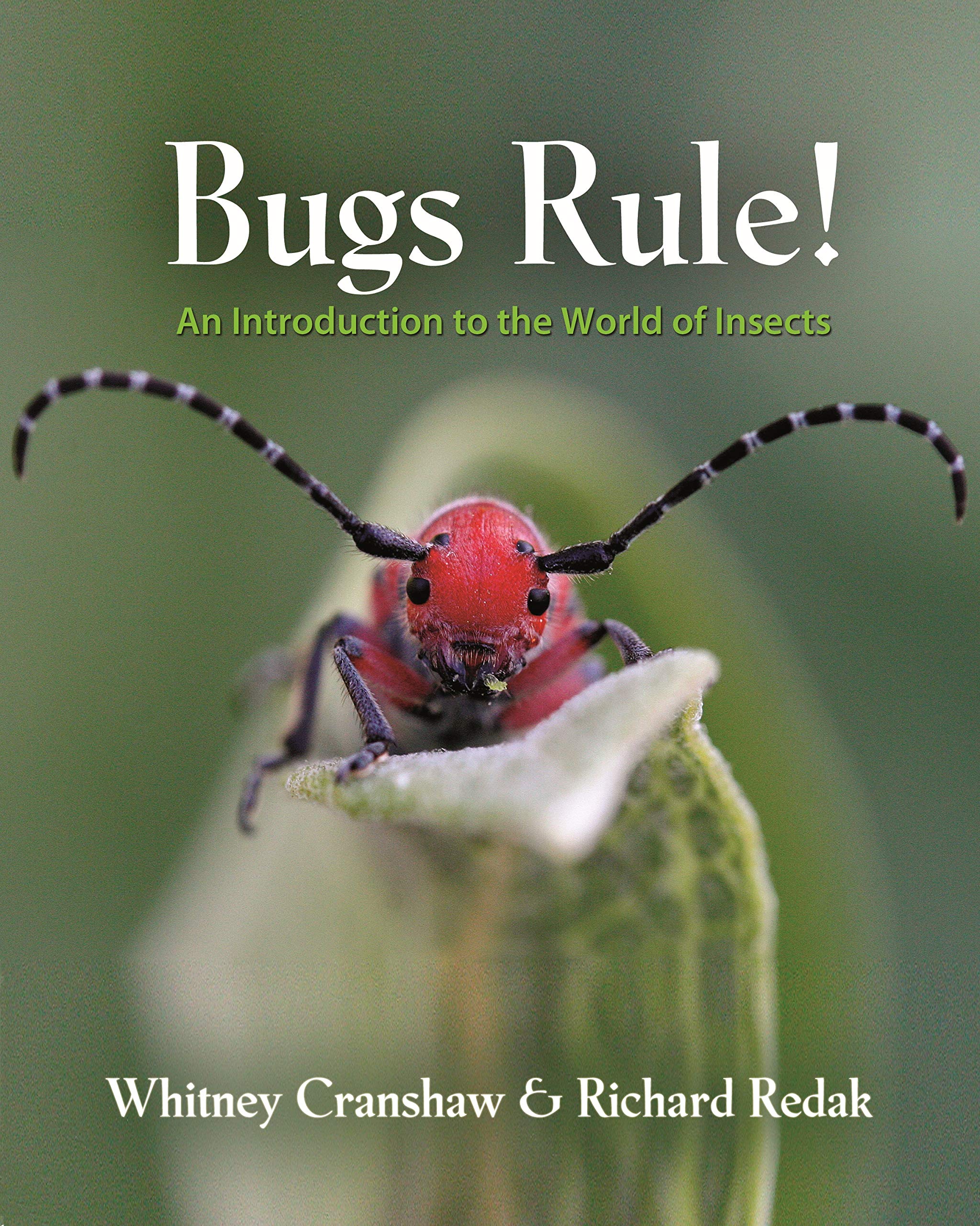 Bugs Rule!: An Introduction To The World Of Insects