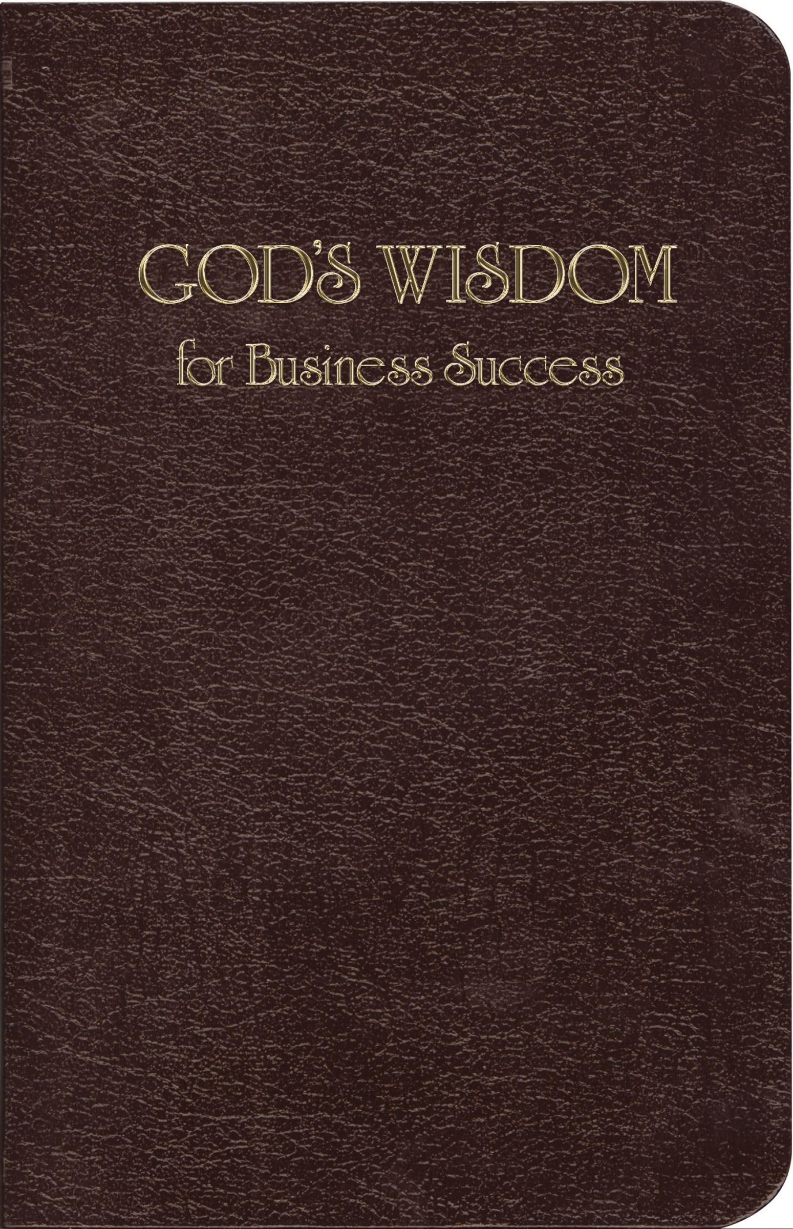 God's Wisdom for Business Success,Used