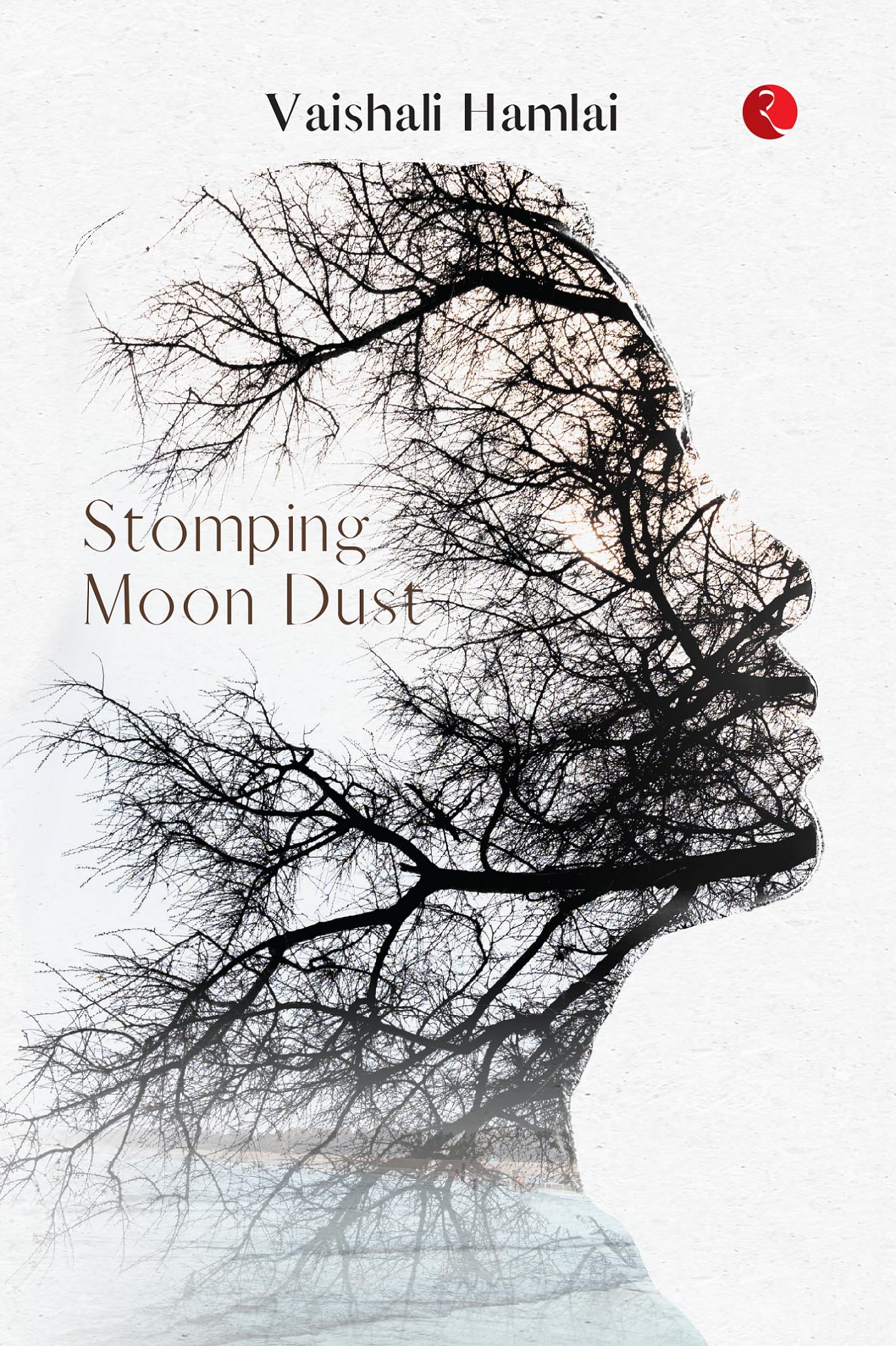 Stomping Moon Dust