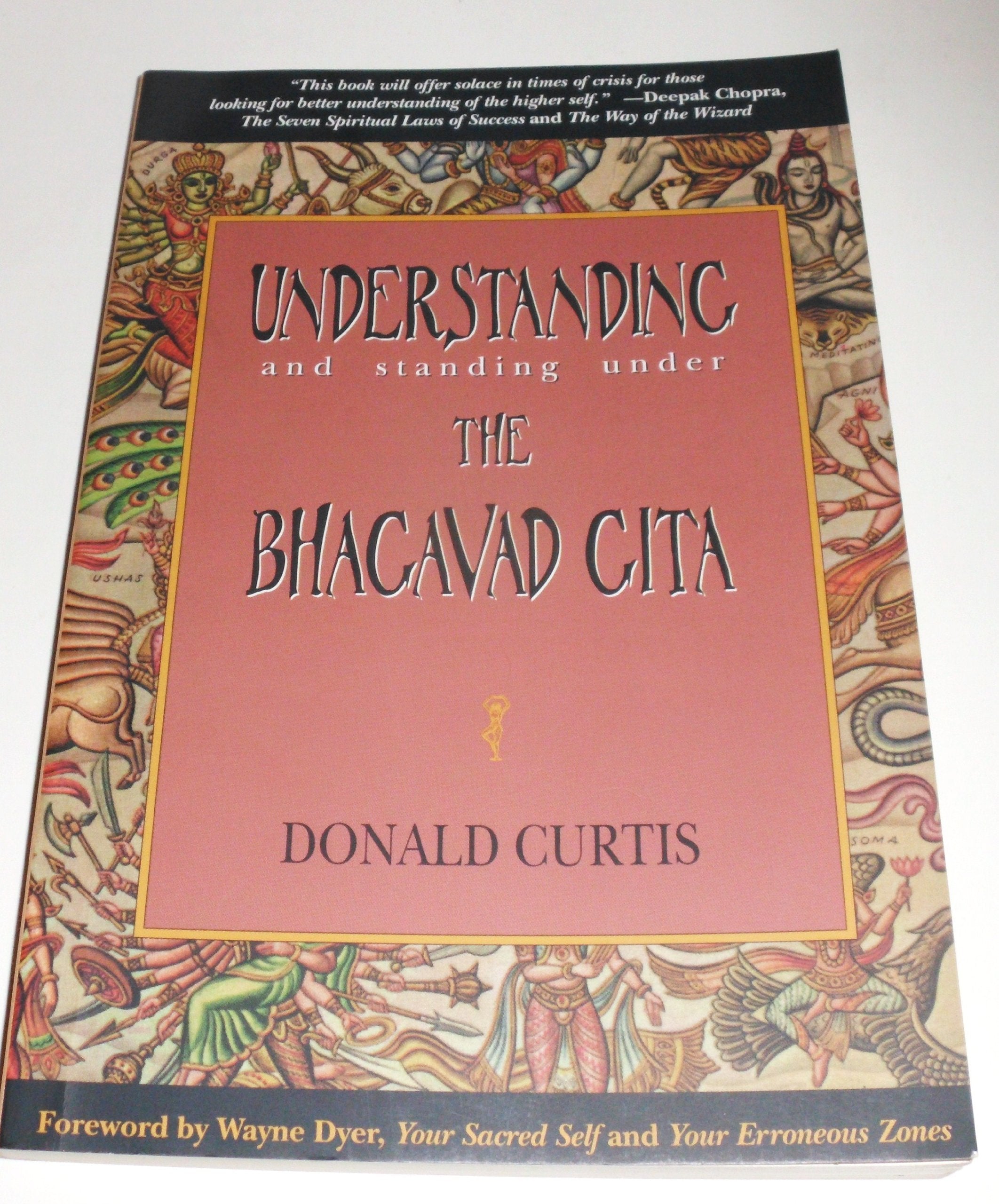 Understanding and Standing Under the Bhagavad Gita,New