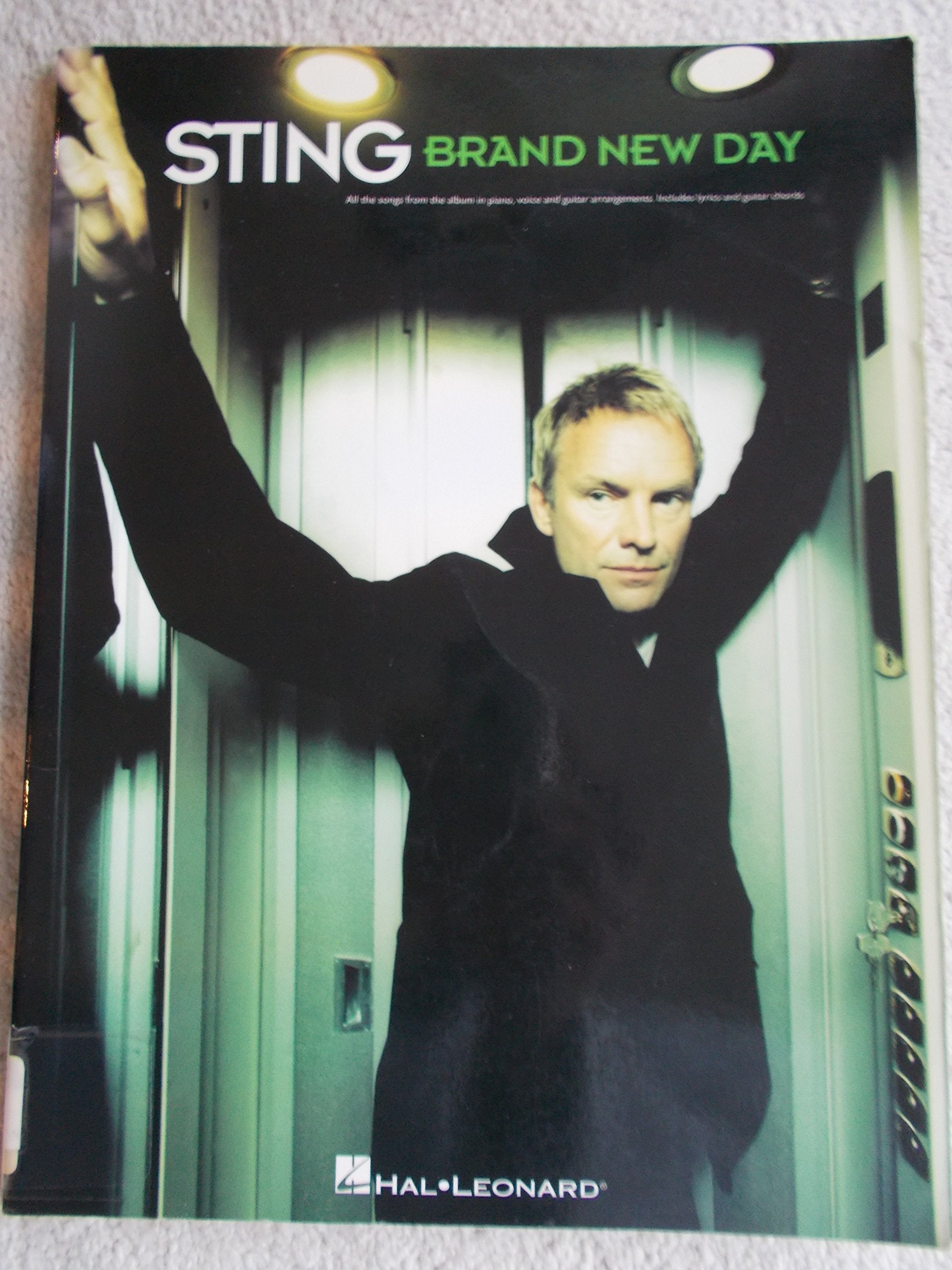 Sting  Brand New Day-used